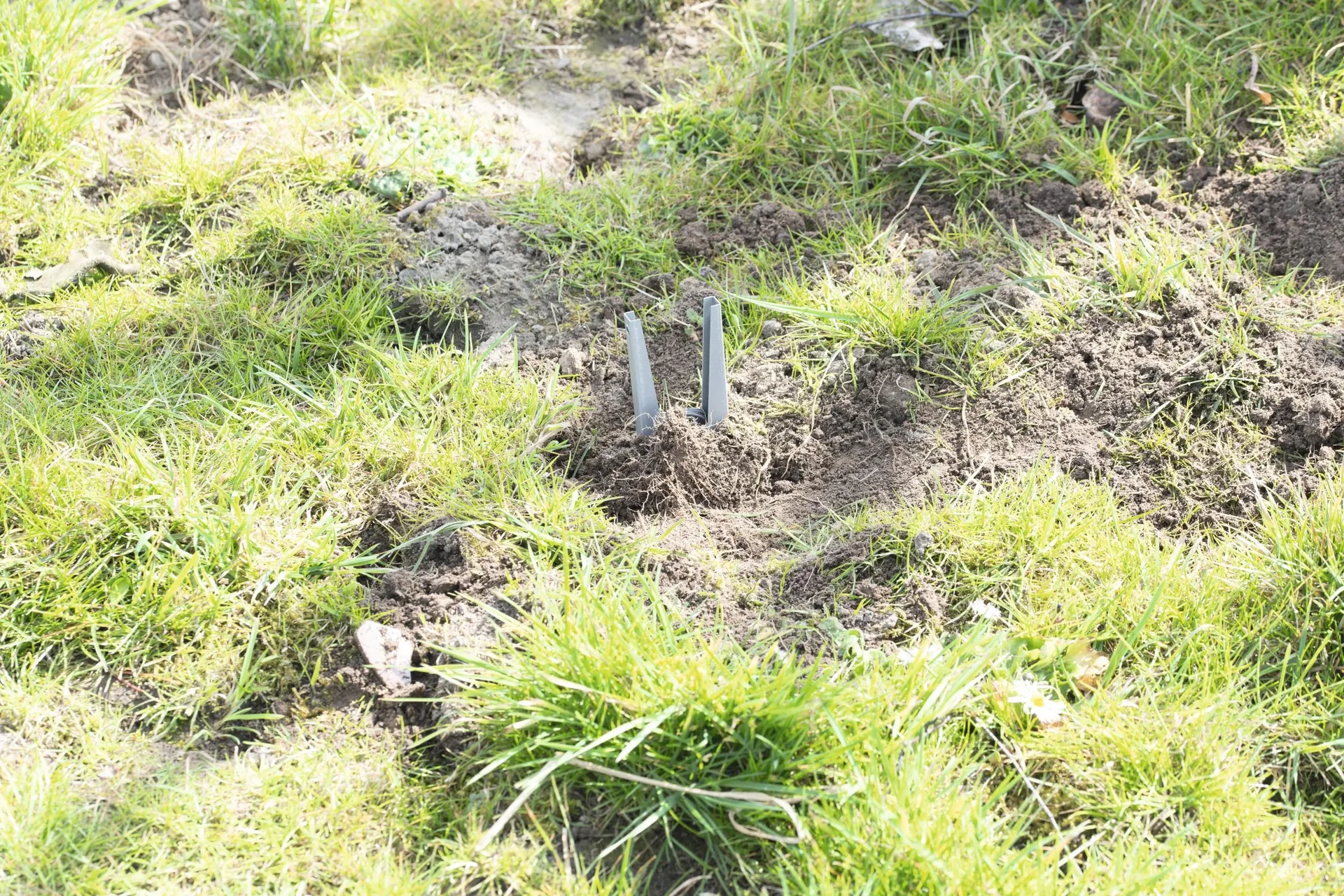 Wühlmaus-Zangenfalle 4er Set - 6