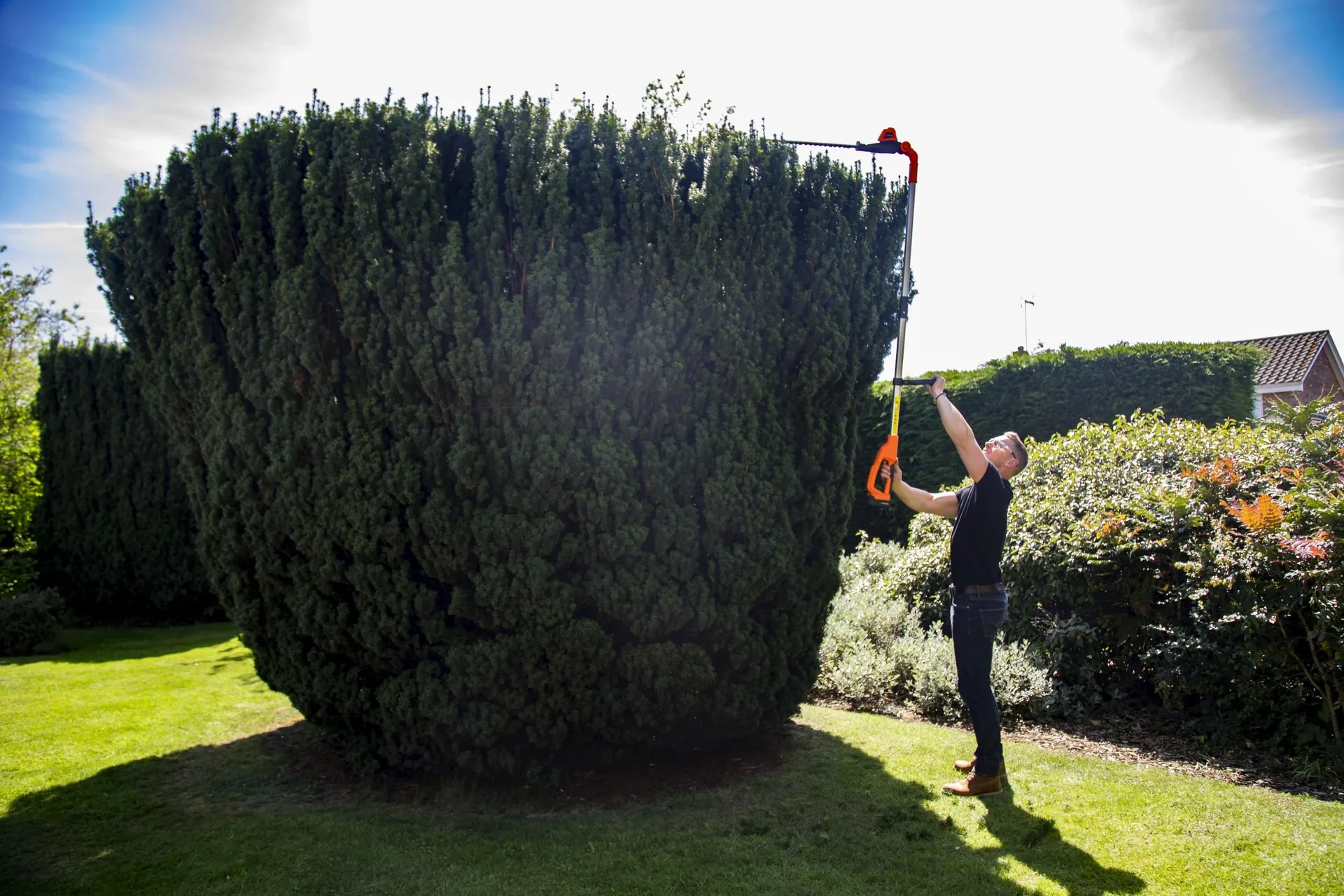 Akku-Teleskop-Heckenschere "LH C41AW - ohne Akku und Ladegerät - 2