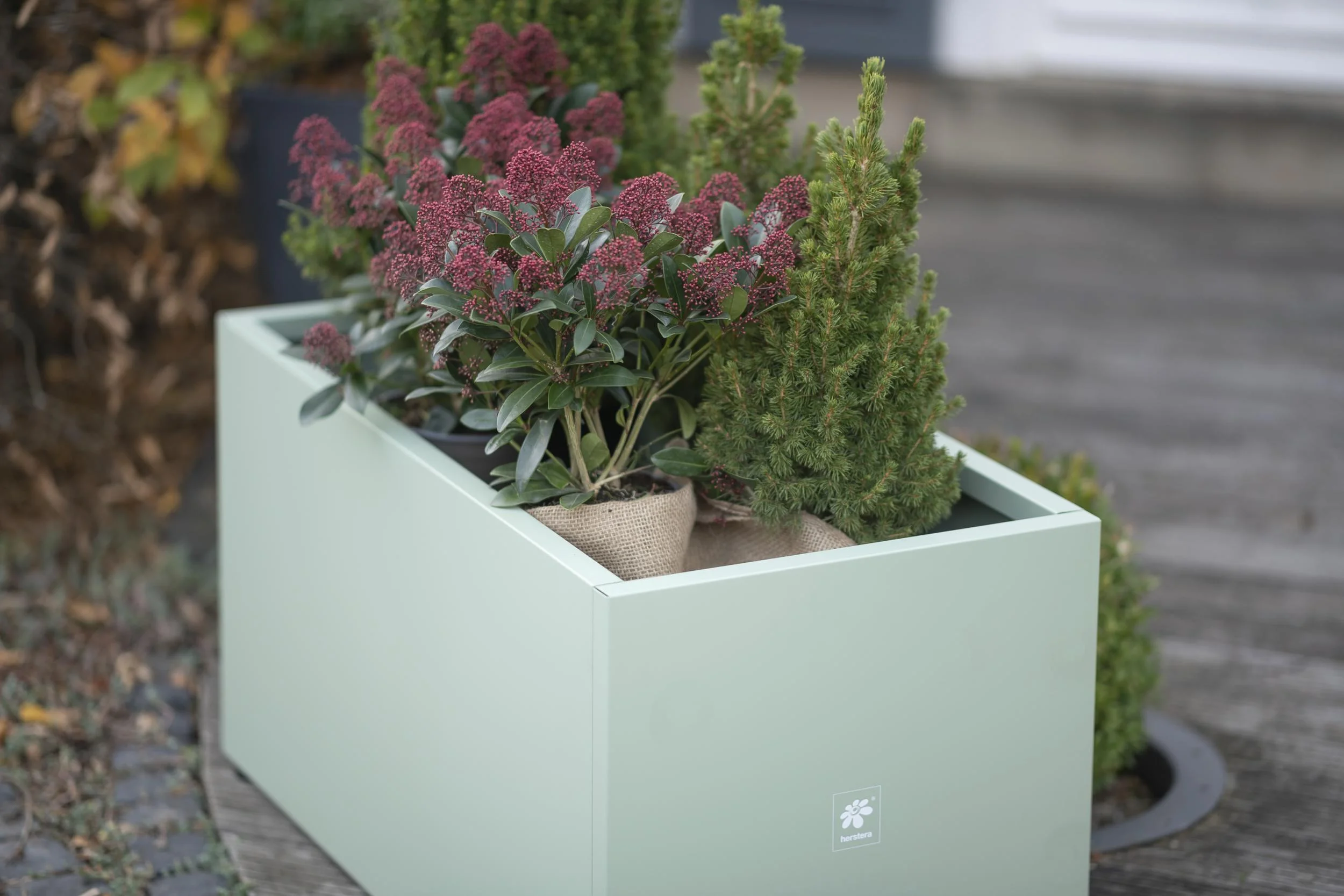 Pflanzkasten 100 x 50 x 50 kaktusgrün - 0