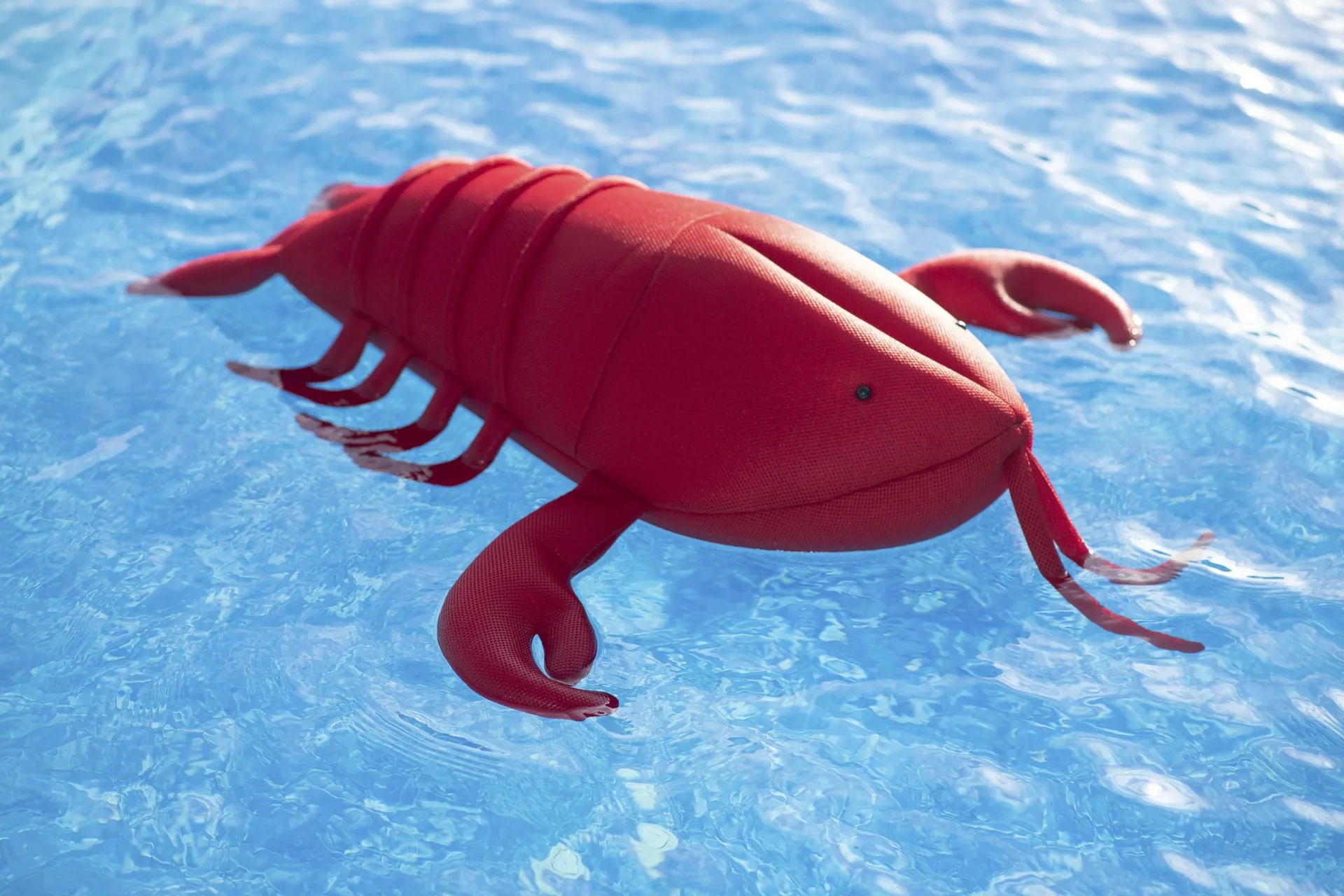 Pool Buddy Lobster rot - 1