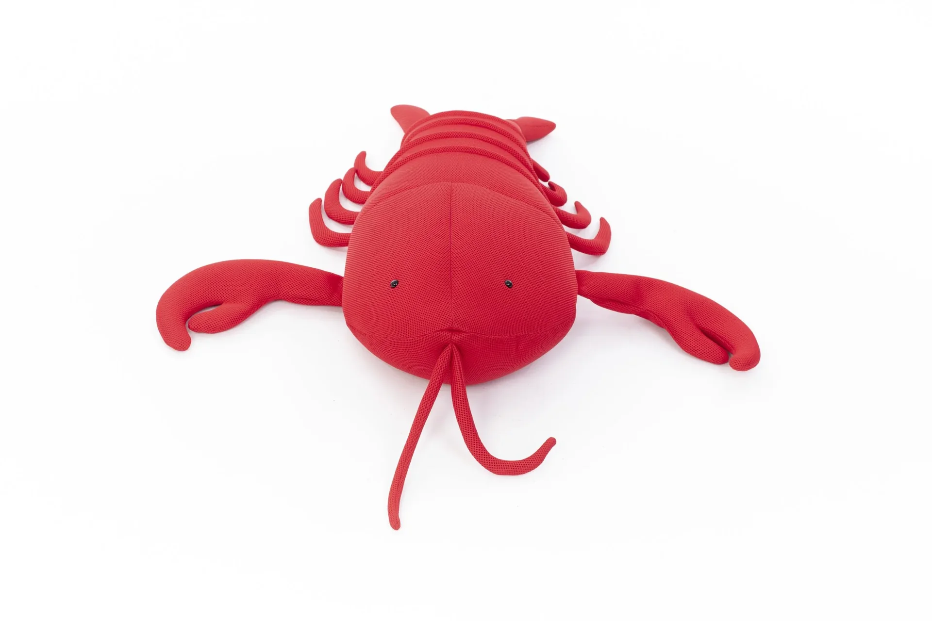 Pool Buddy Lobster rot - 2
