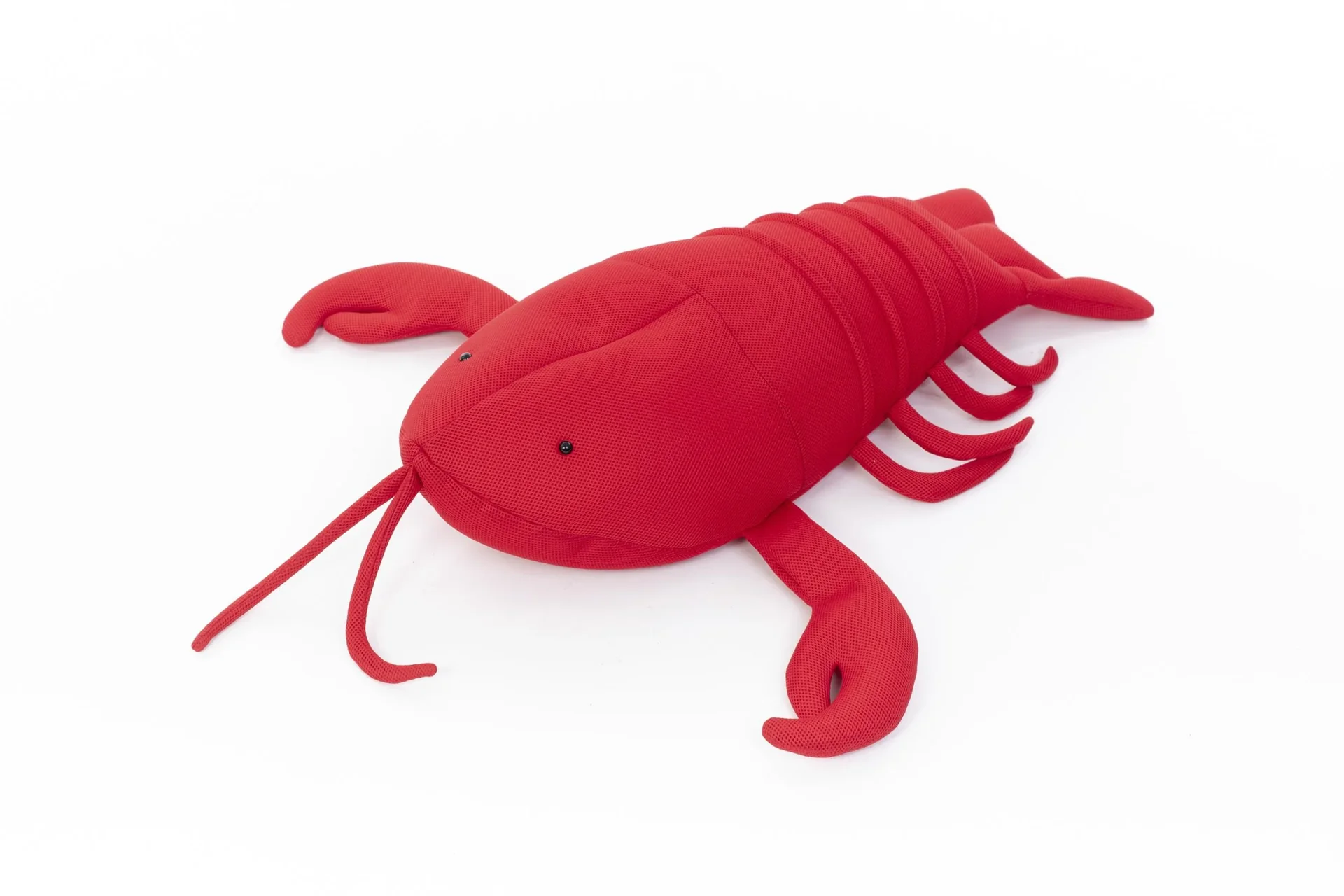 Pool Buddy Lobster rot - 3