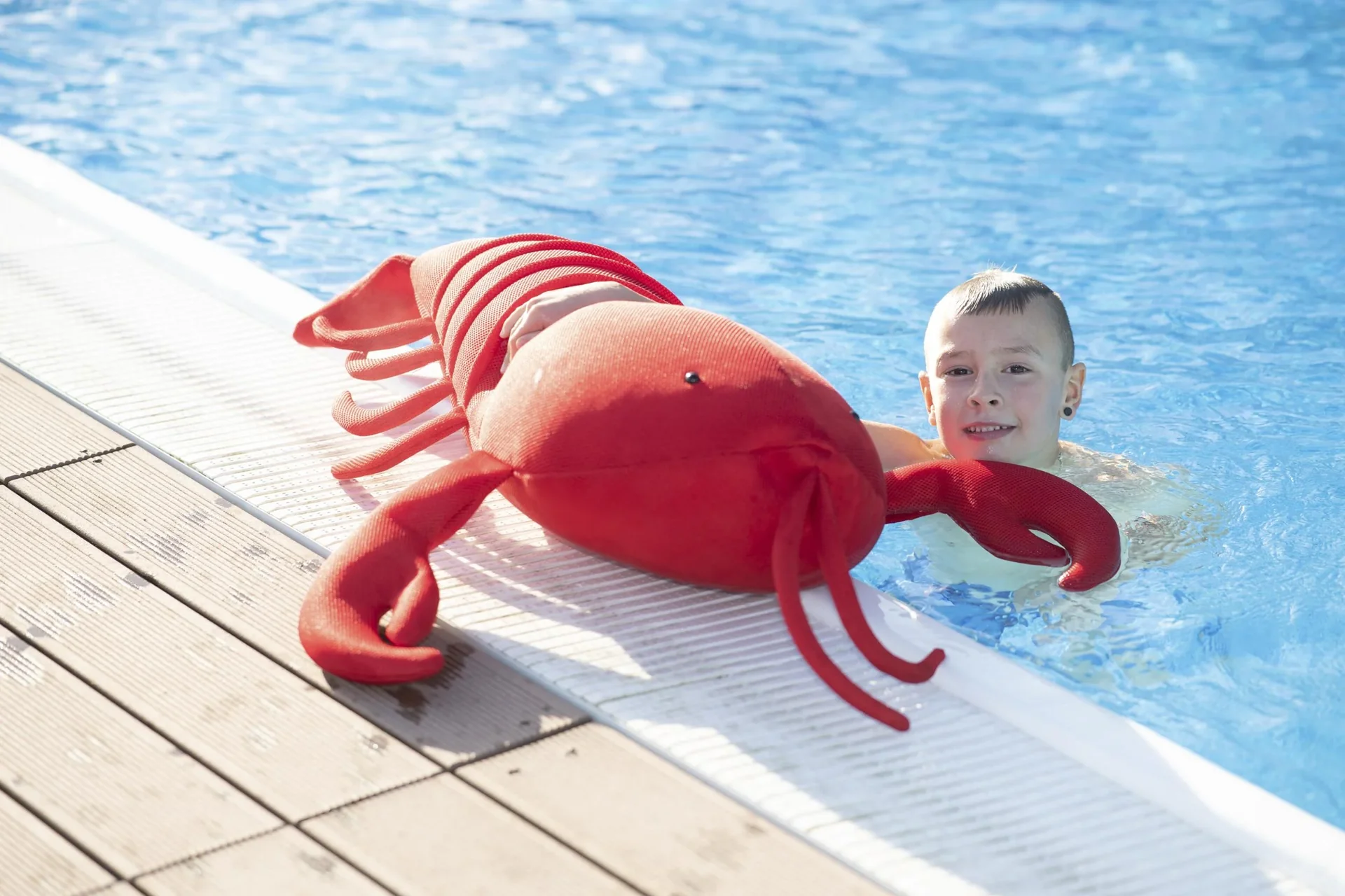 Pool Buddy Lobster rot - 4