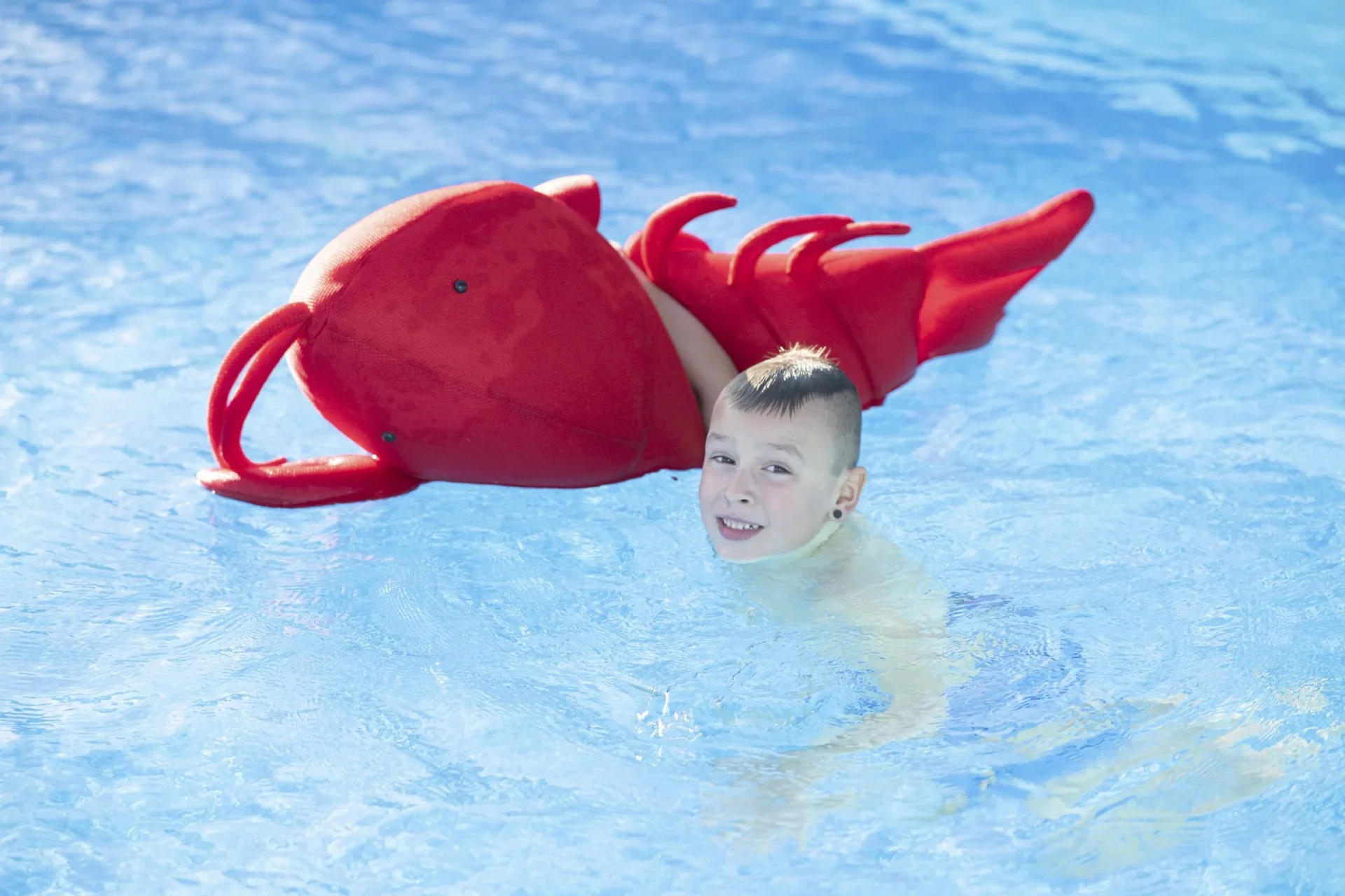 Pool Buddy Lobster rot - 5