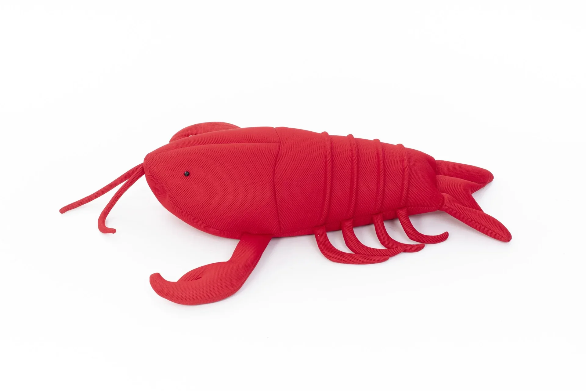 Pool Buddy Lobster rot - 9