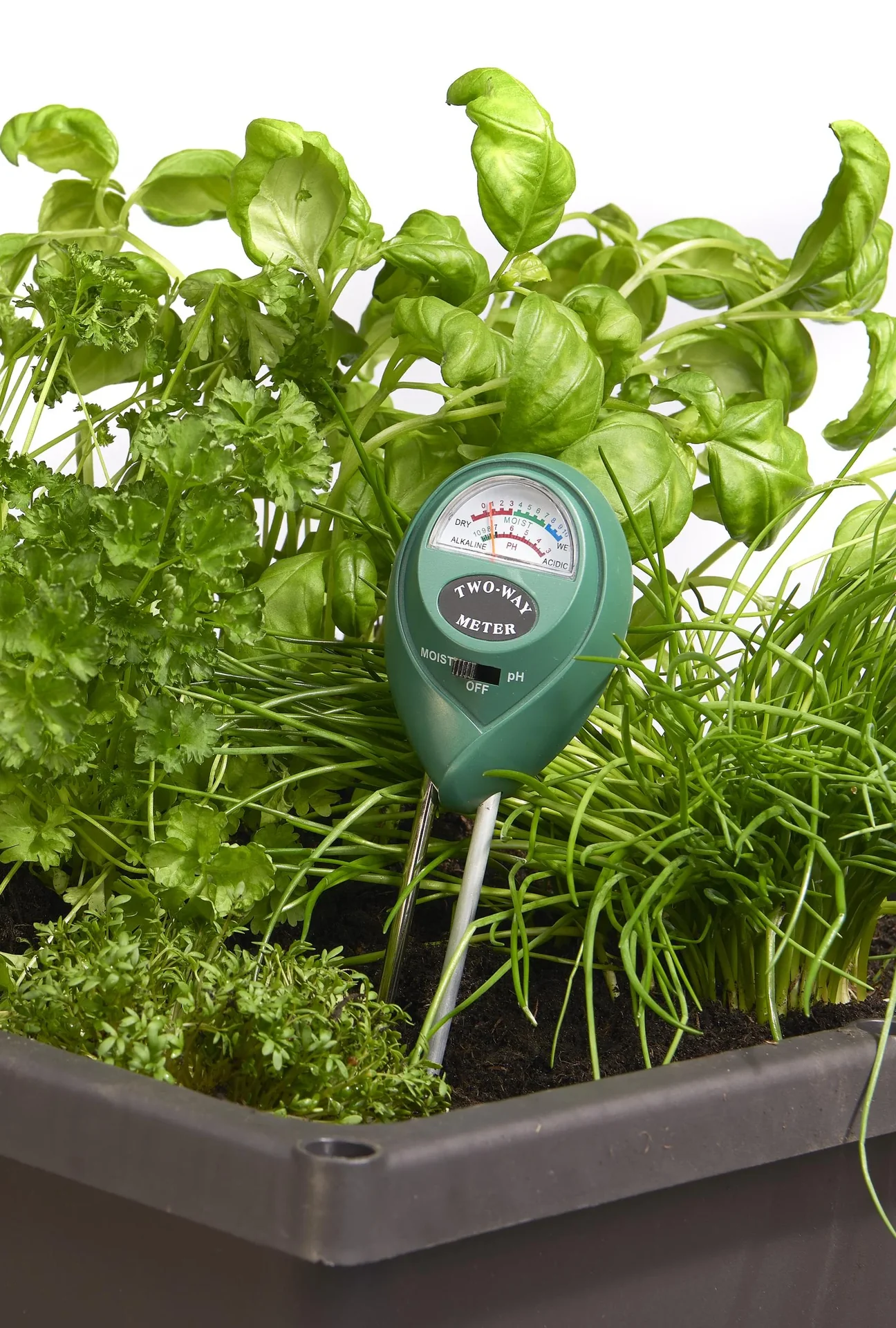 Bodentester PH-Wert/ Feuchtigkeit - 0