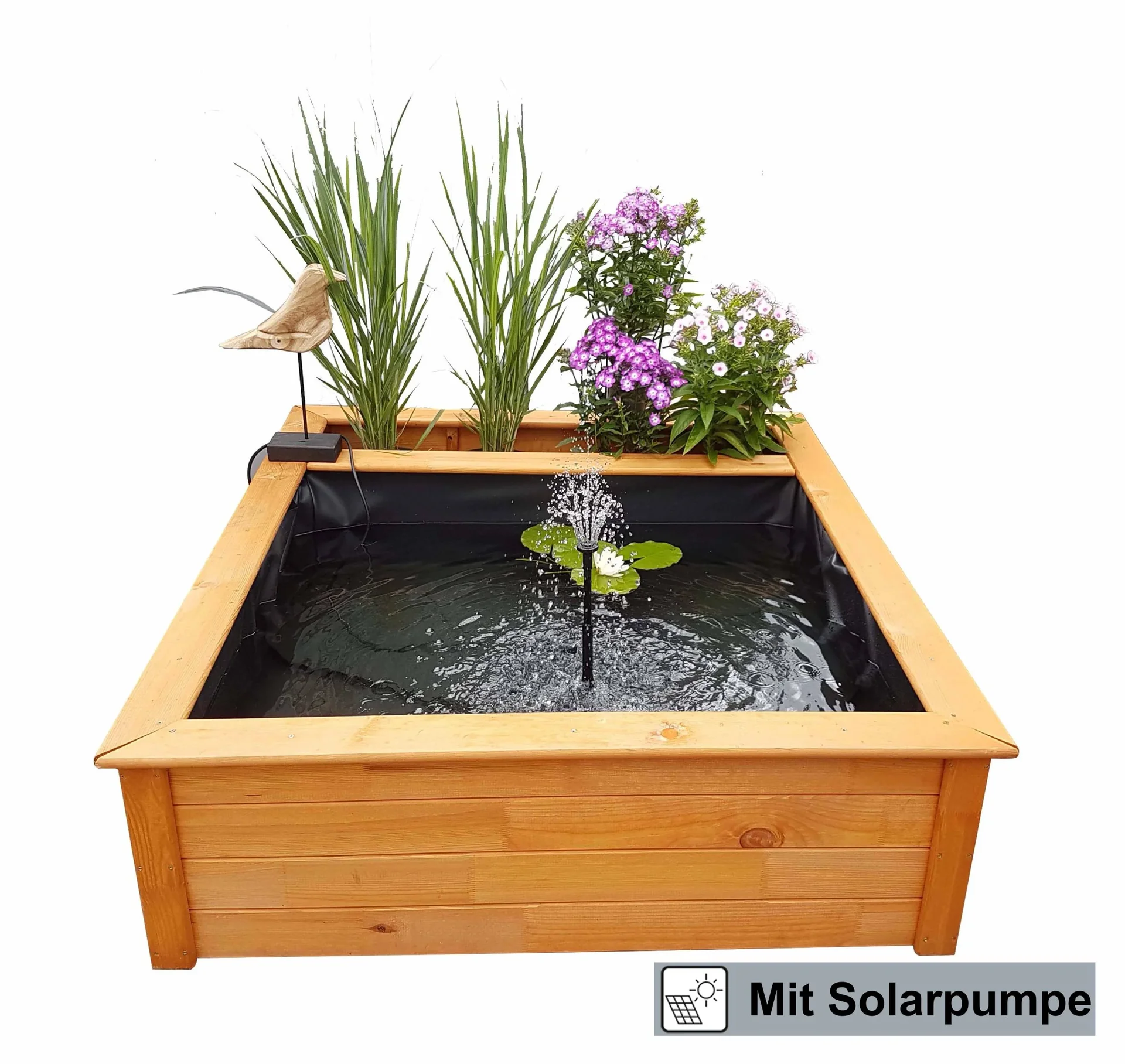 Hochteich mit seitlicher Pflanzzone Solar - 1