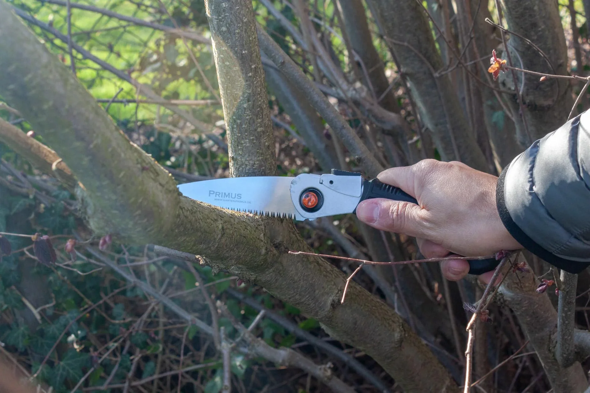 Damen Klappsäge - 1