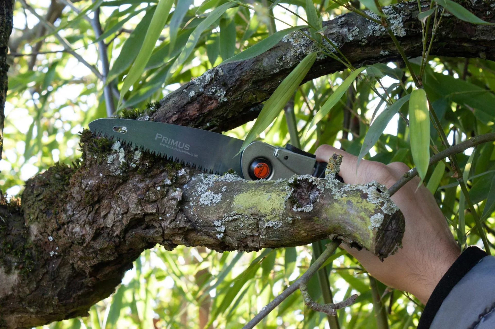 Damen Klappsäge - 2