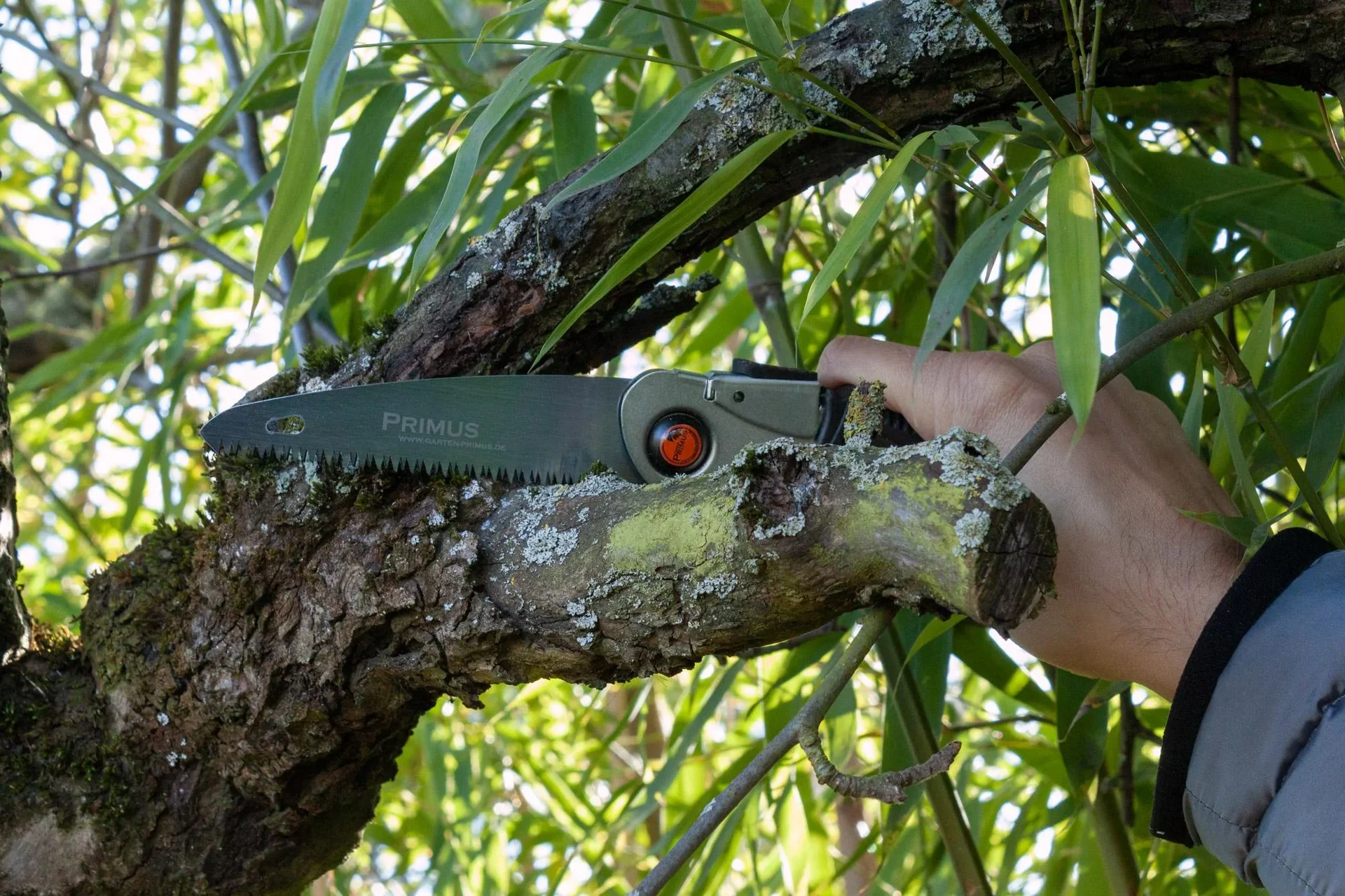 Damen Klappsäge - 4