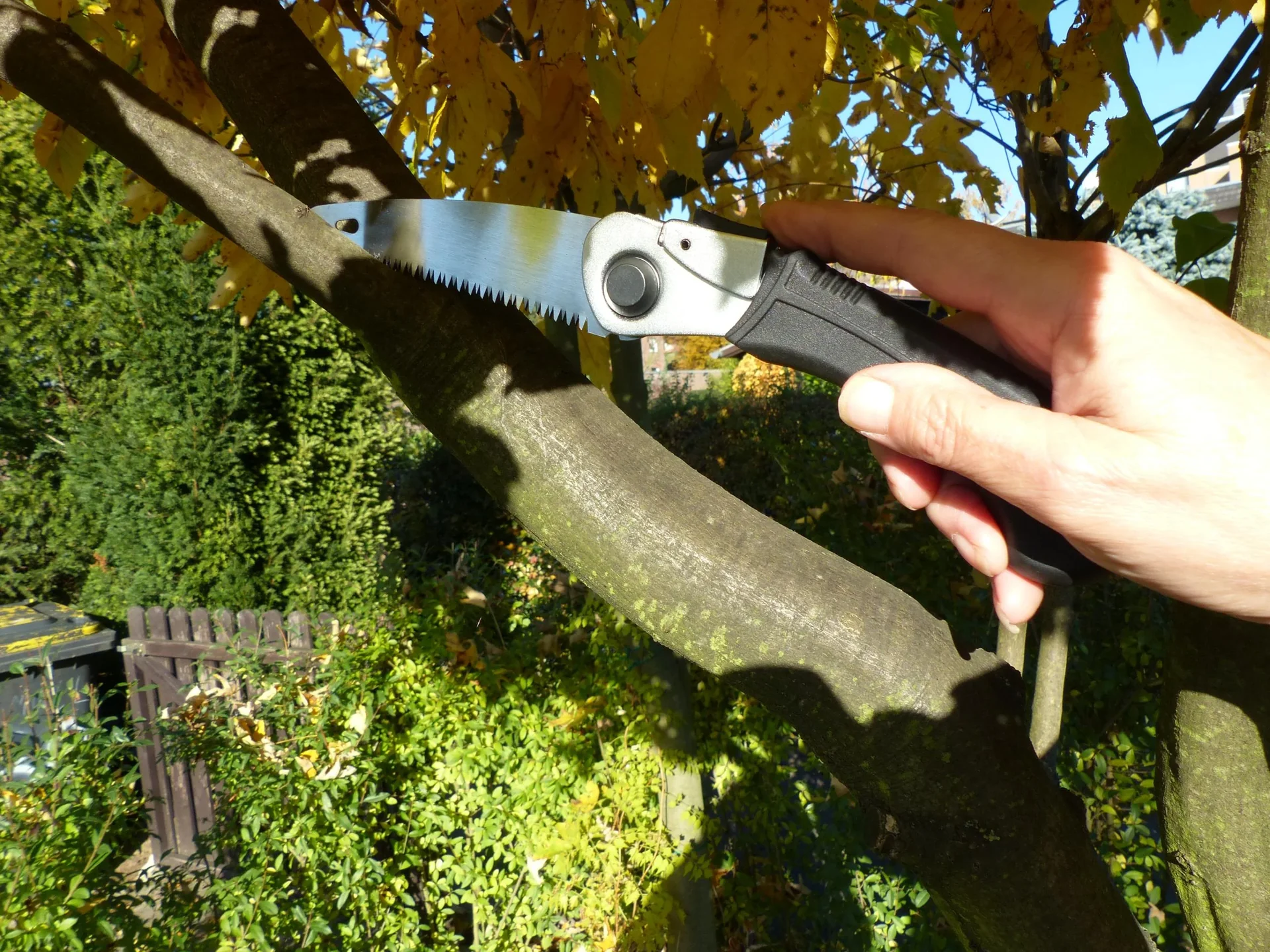 Damen Klappsäge - 5