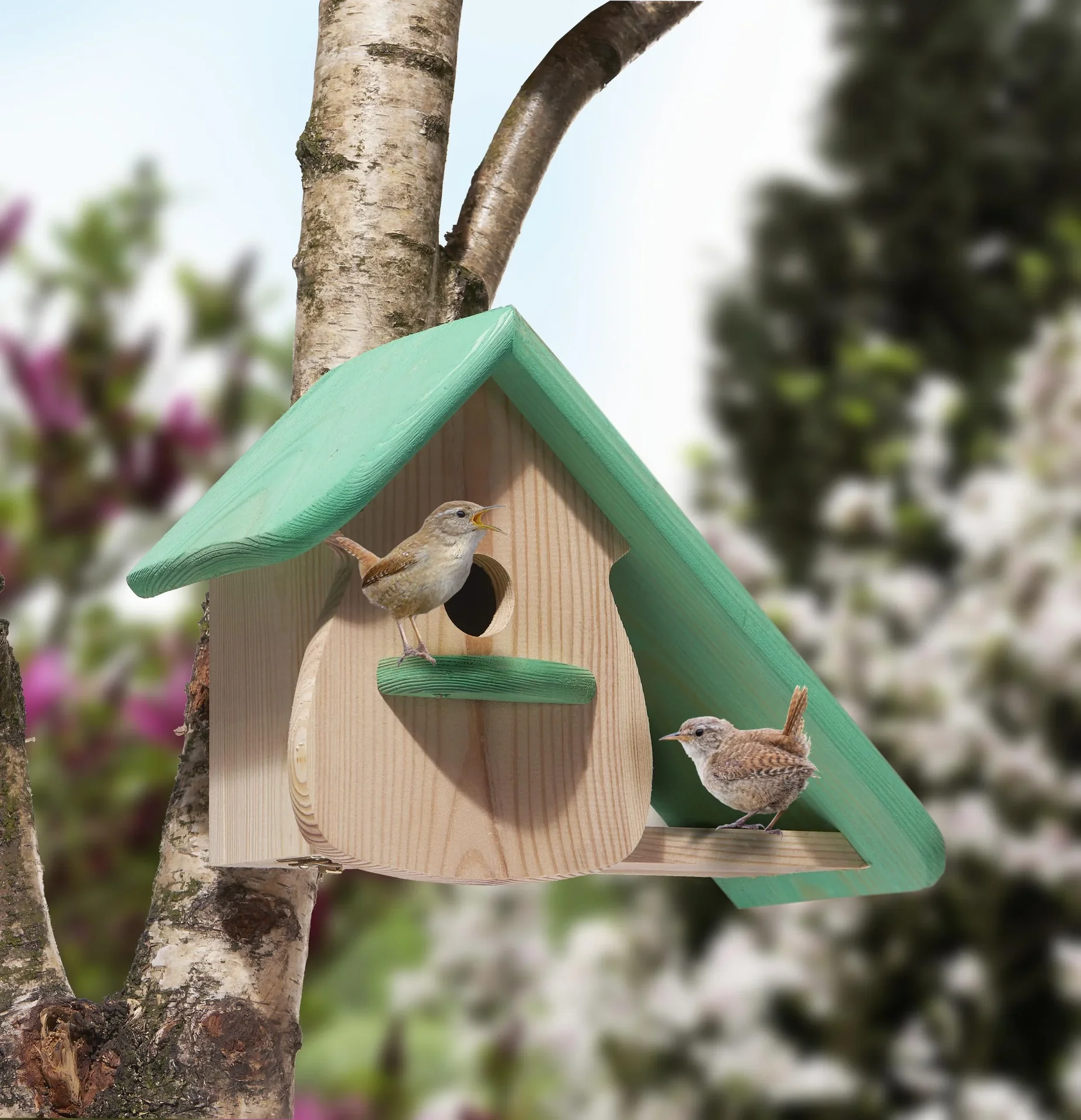 Zaunkönigkasten "Hunsrück" - 0