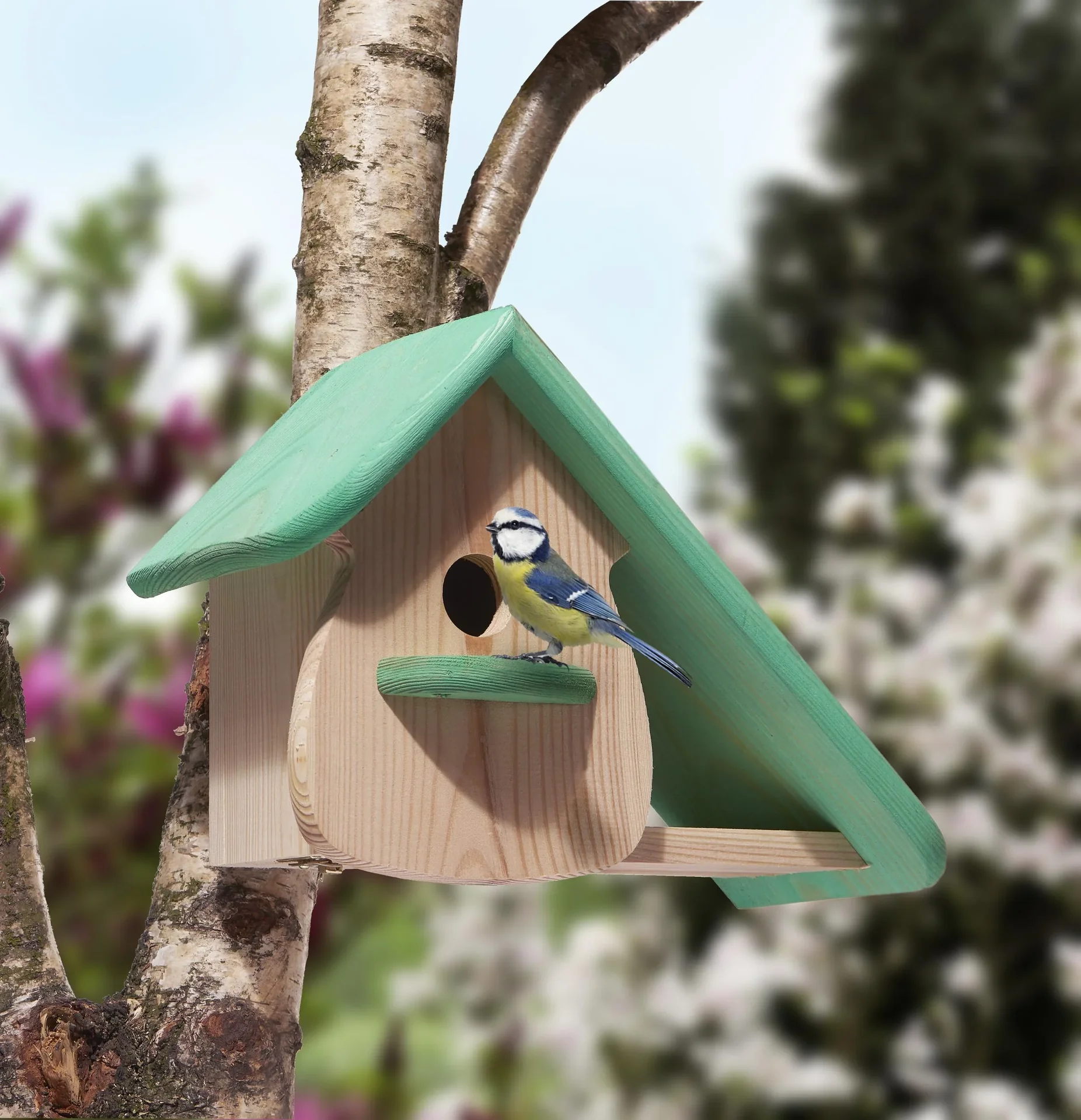 Zaunkönigkasten "Hunsrück" - 2