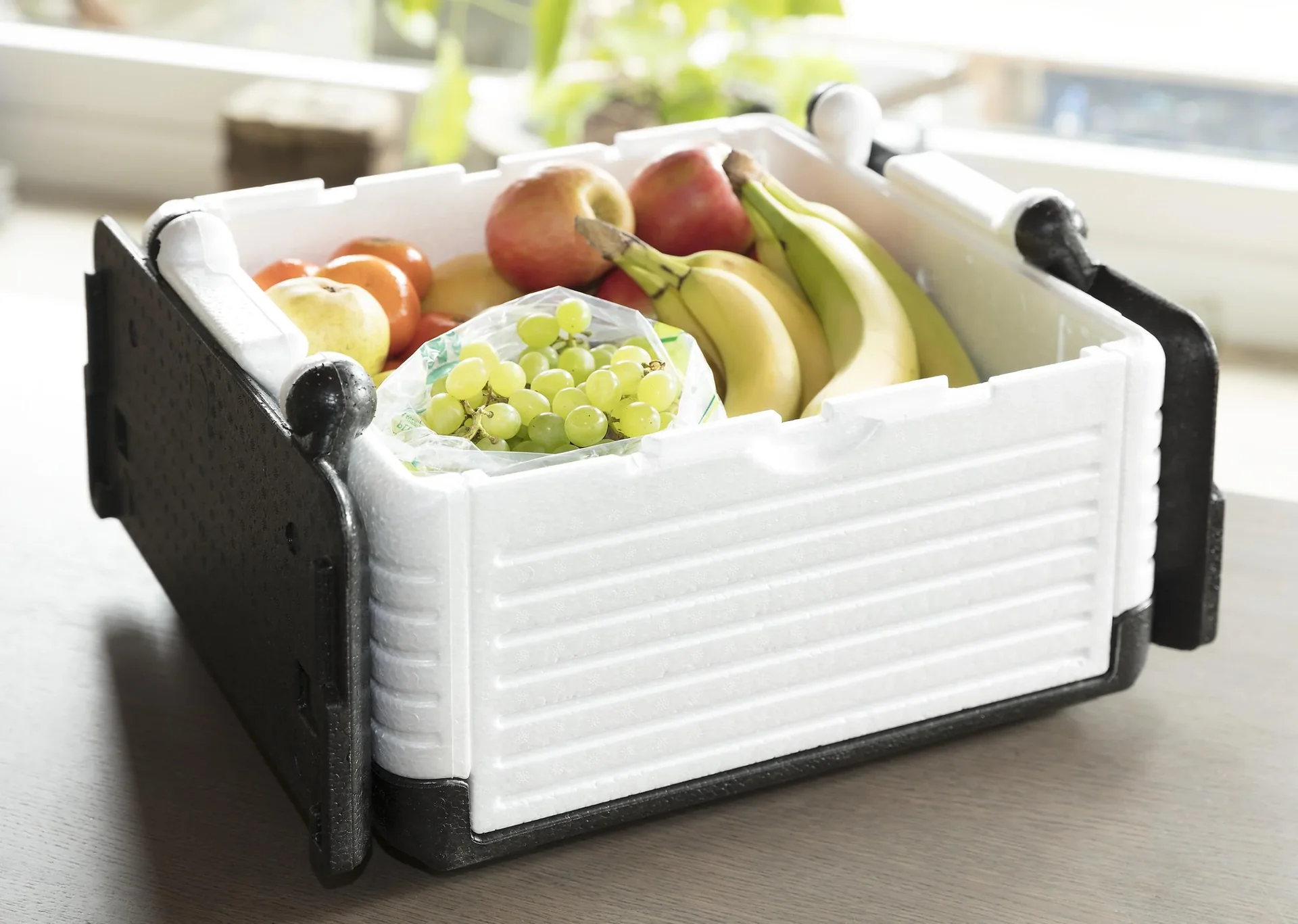 Flip-Box Classic - faltbare Kühlbox - 23 Liter - 2