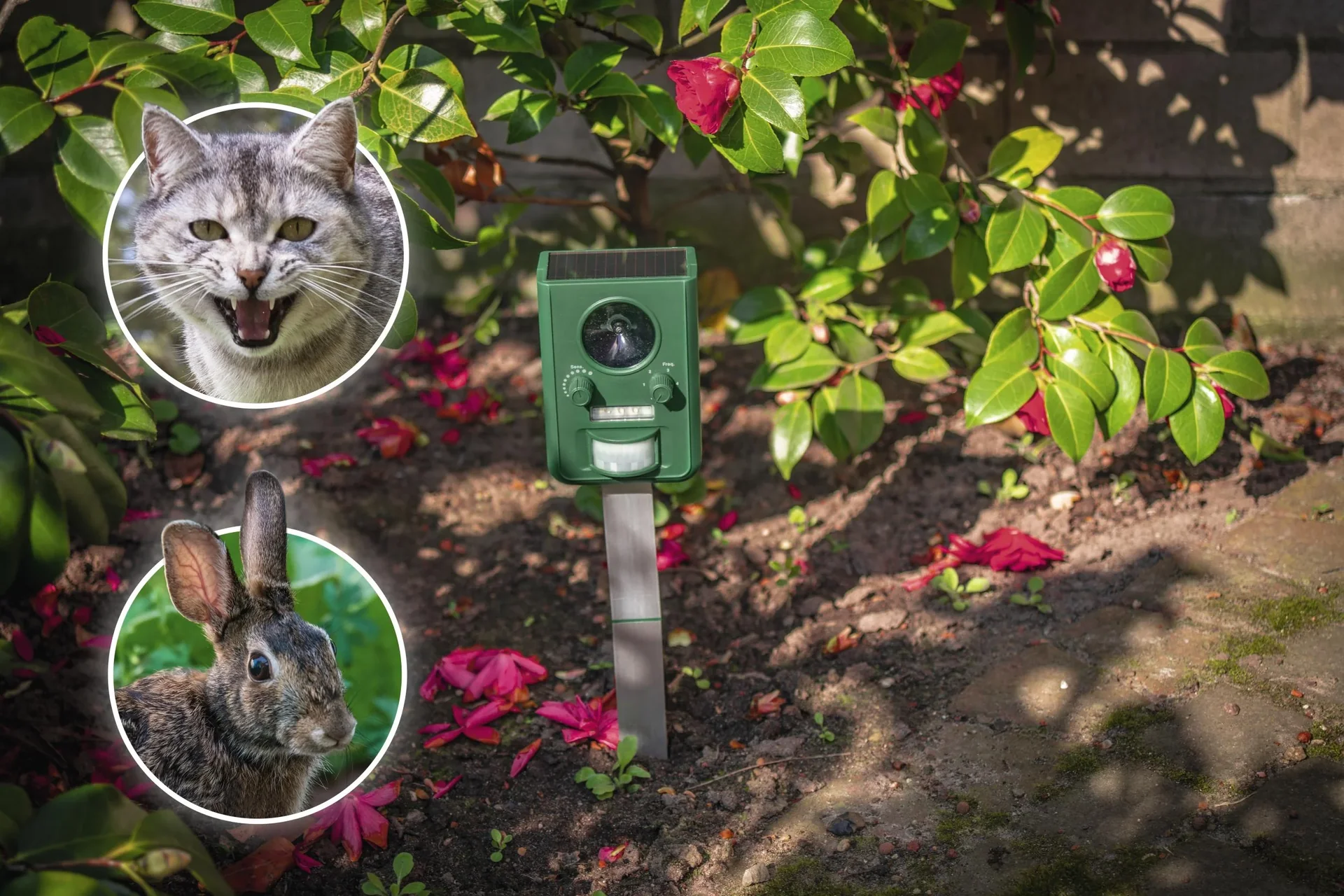 Solar Tier-Vertreiber - 3