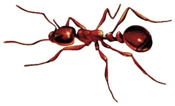 Der Insekten Hai / Insektenspray, 500 ml - 0