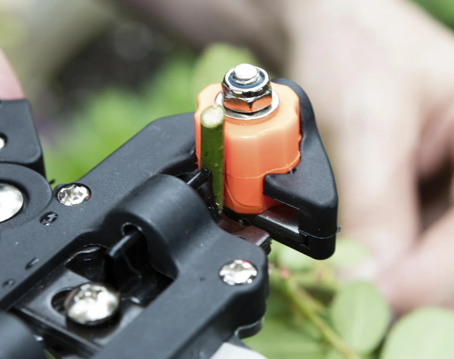 GartenMeister Veredelungs-Set mit 2 Ersatz- Omega- Messern, Veredlungsband 10 Stück - aus PE - 0