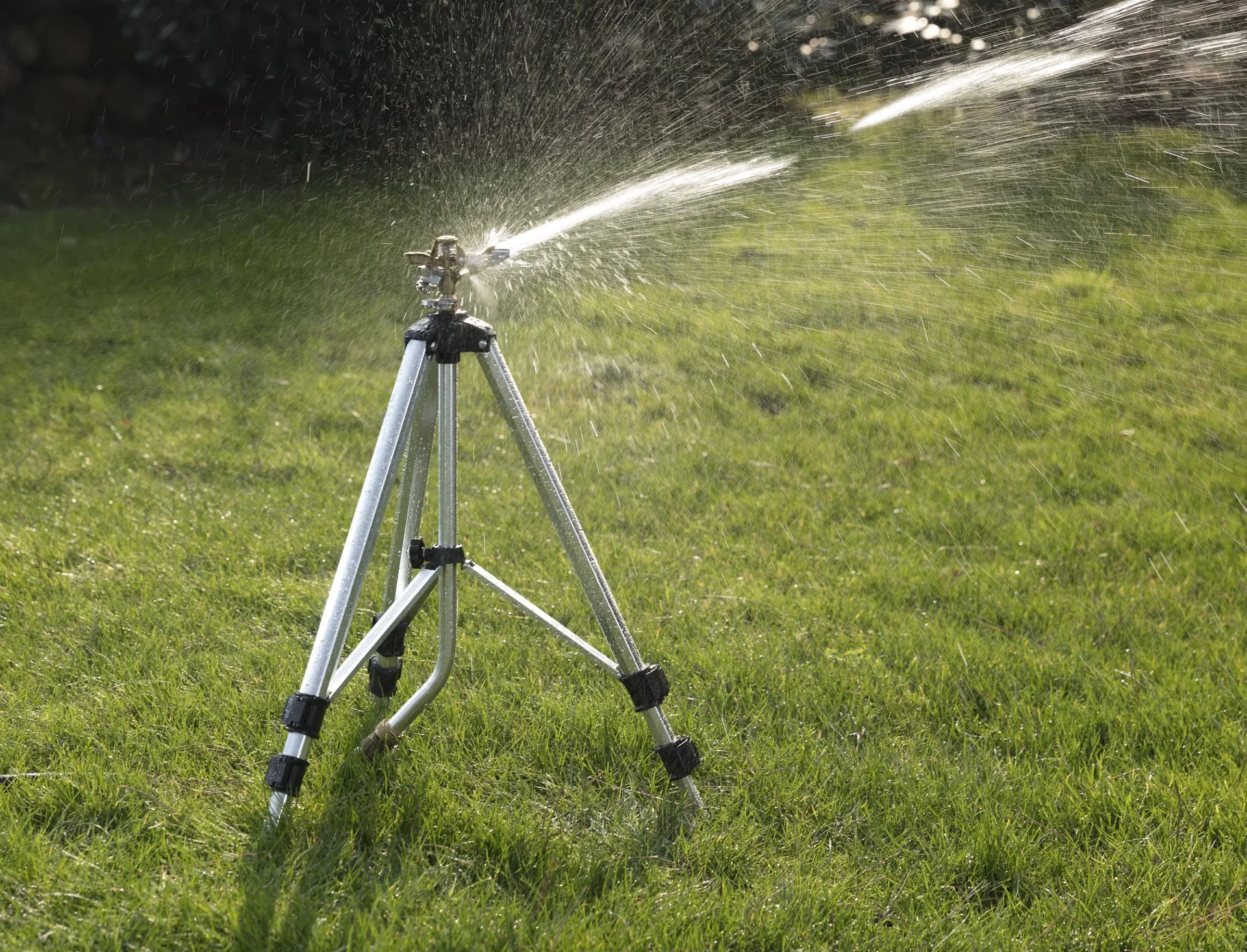 Profi Impulsregner, mit Teleskop Stativ - 7