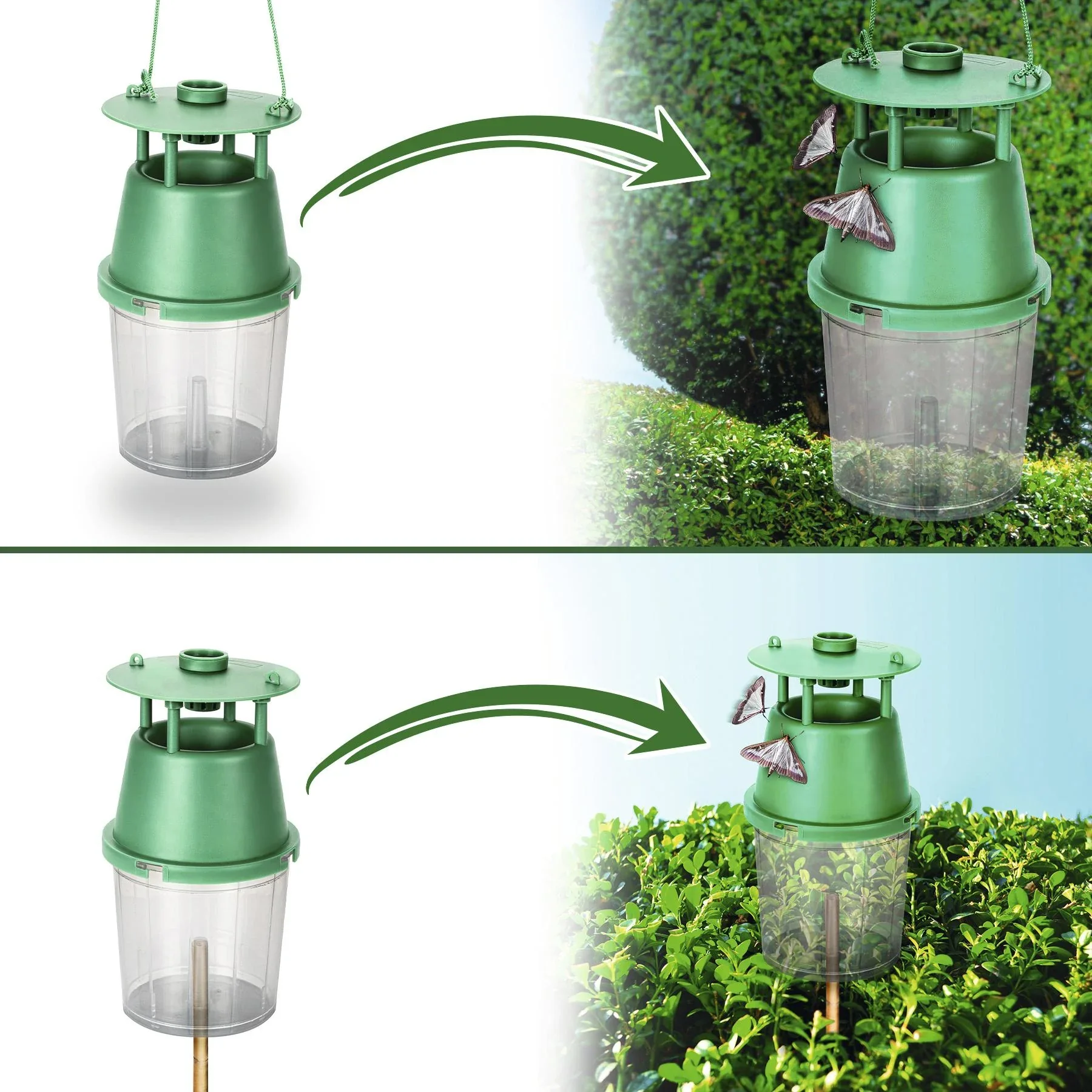 Buchsbaumzünsler-Falle inklusive Lockstoff - 0