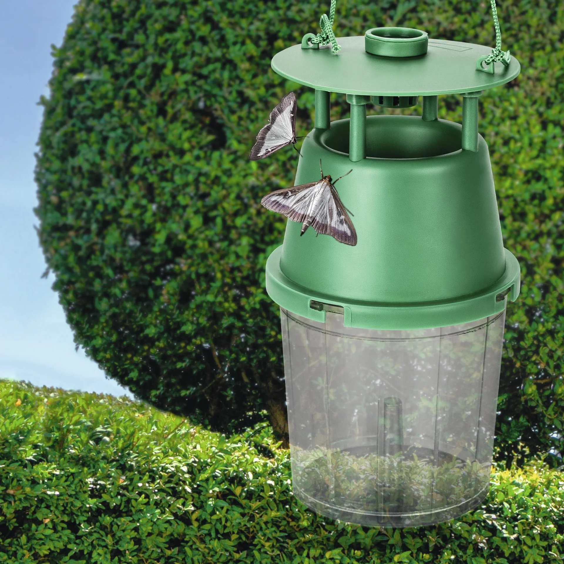 Buchsbaumzünsler-Falle inklusive Lockstoff - 4