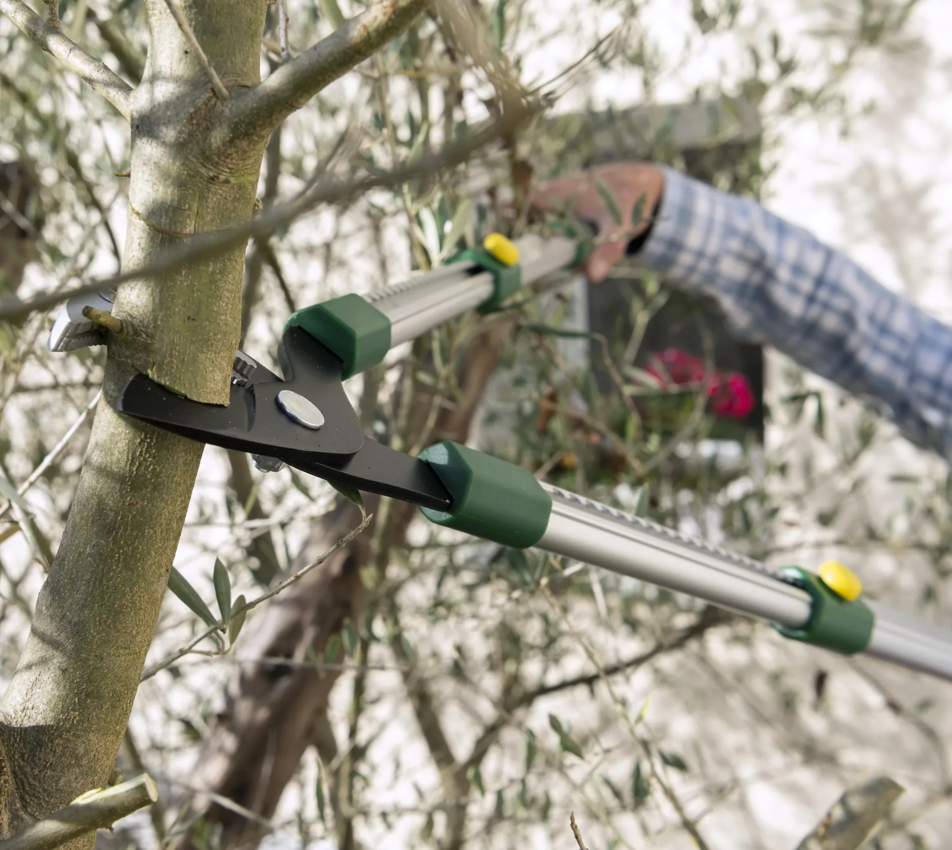 Teleskop Ast- und Heckenschere, 63-91 cm - 5
