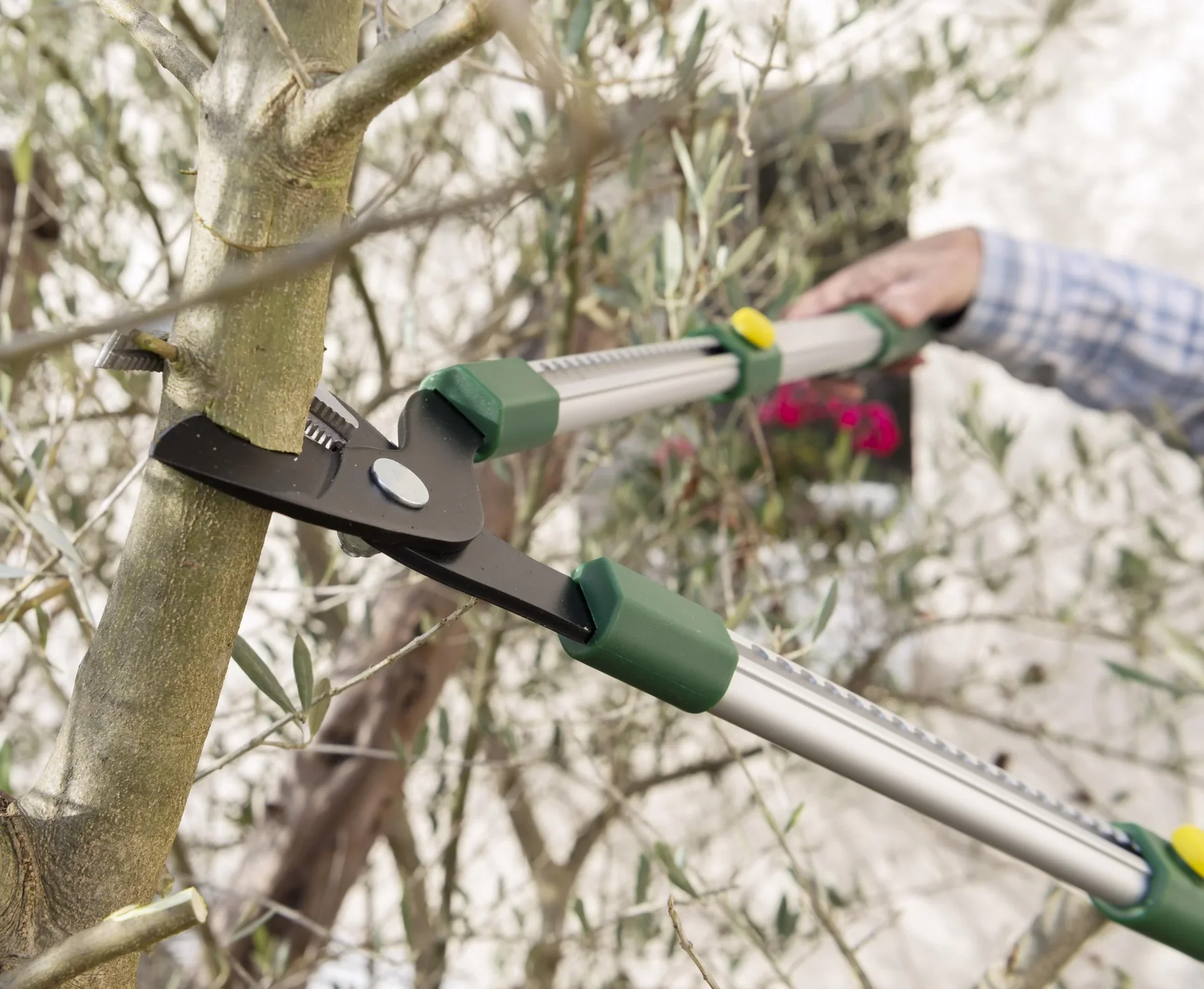 Teleskop Ast- und Heckenschere, 63-91 cm - 6