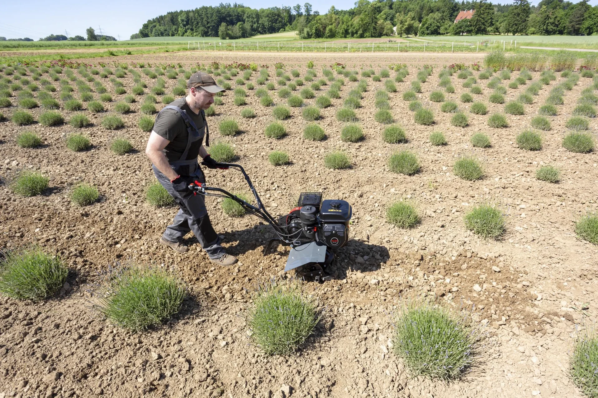 Benzin-Motorhacke MH 540 Comfort - 3