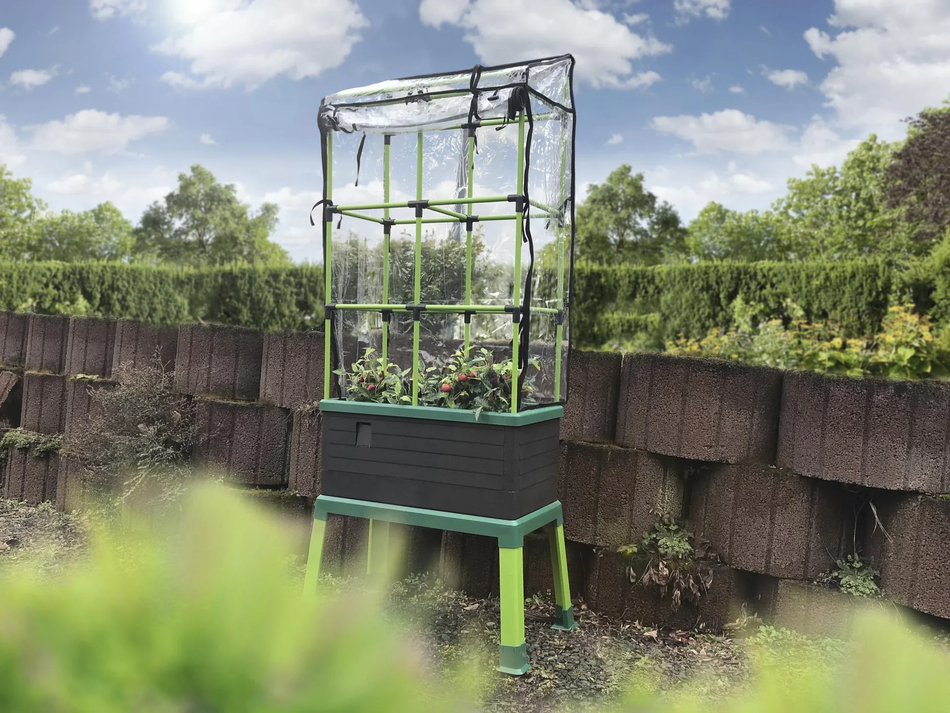 Abdeckhaube für CityJungle - 1