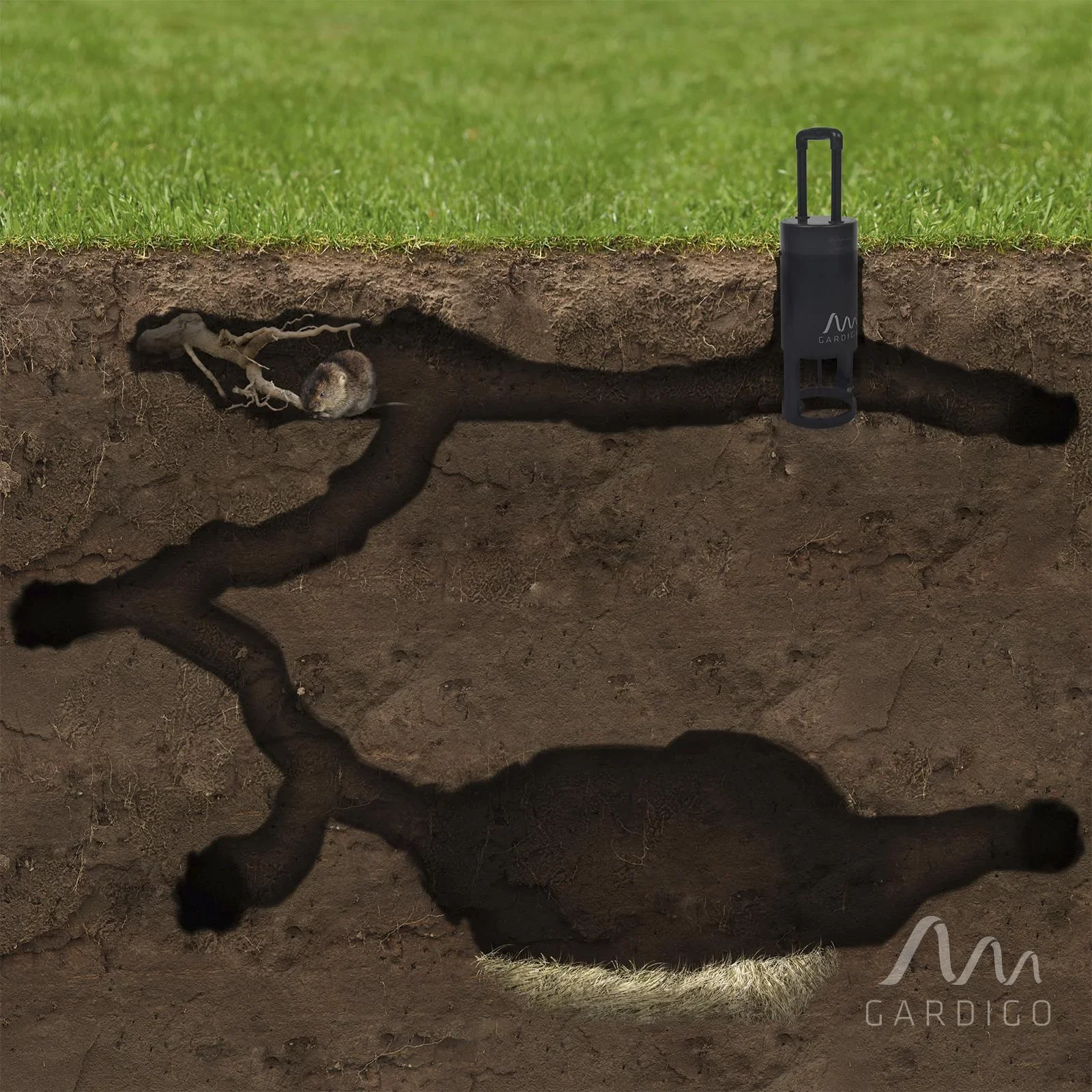 Wühlmausfalle All in Set - 4