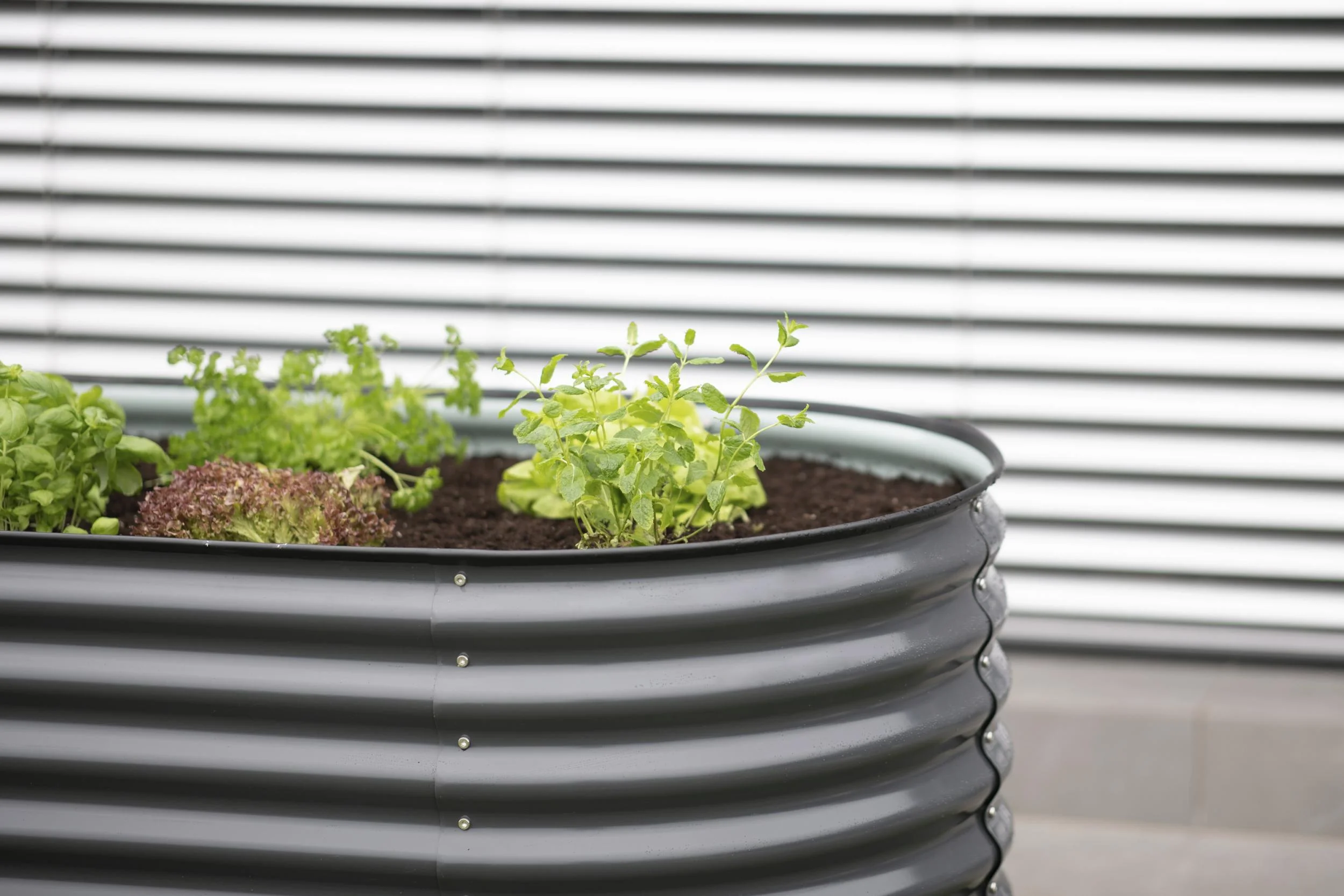 Metall Hochbeet Oval anthr. 160 x 80 x 82 cm - 4