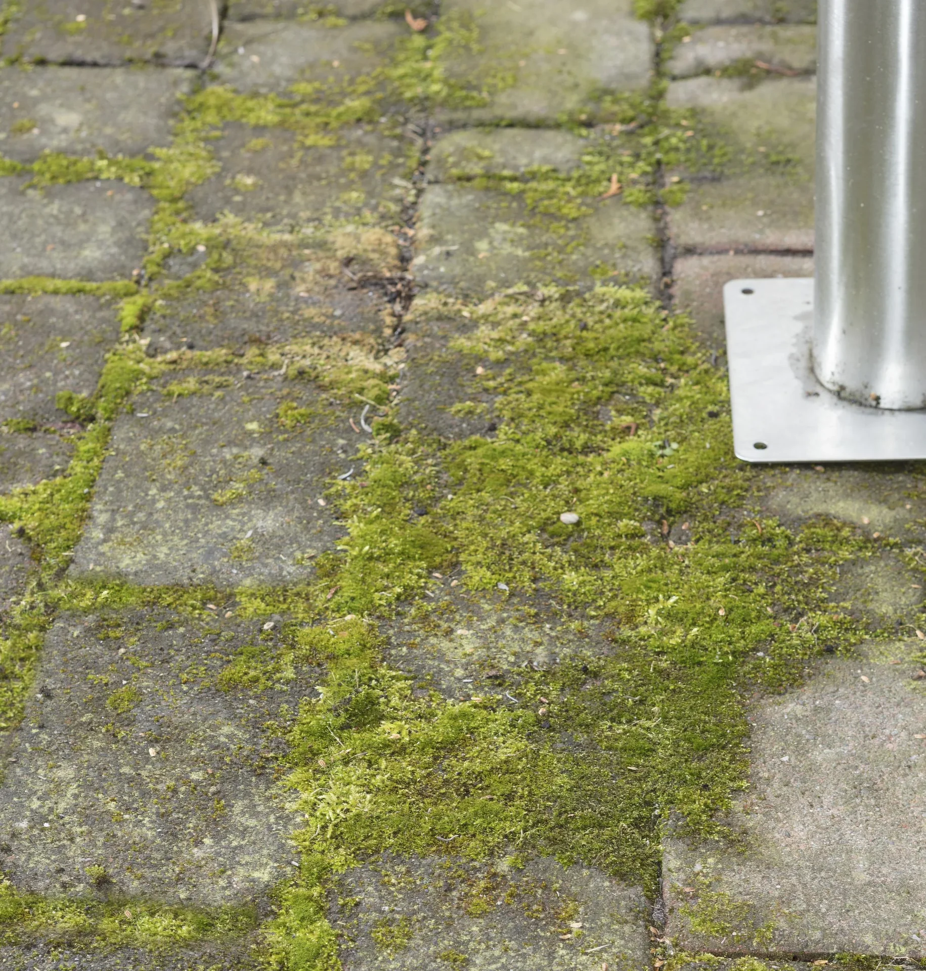 3 in 1 Garten-Unkraut-Bürsten Set - teleskopierbar - 0