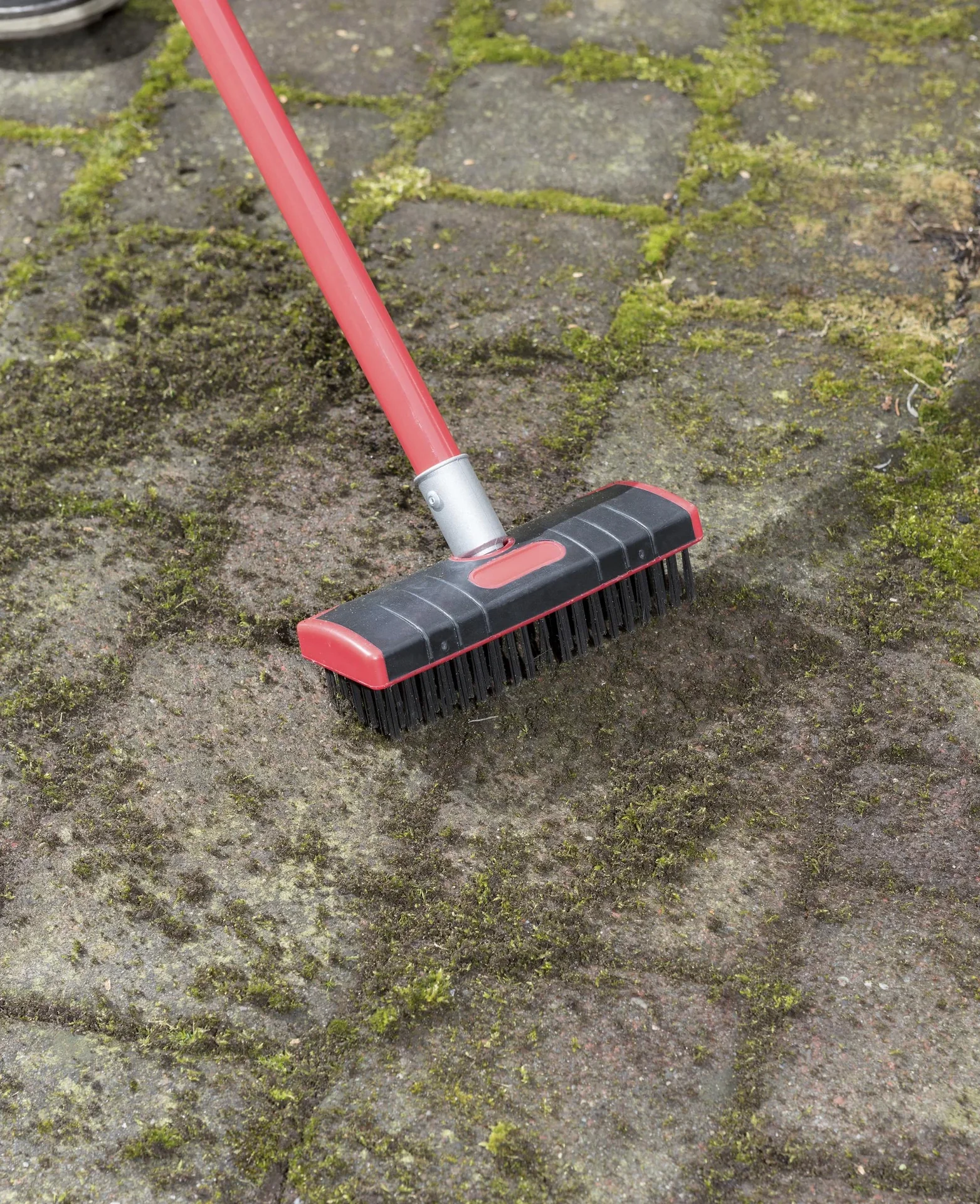 3 in 1 Garten-Unkraut-Bürsten Set - teleskopierbar - 1