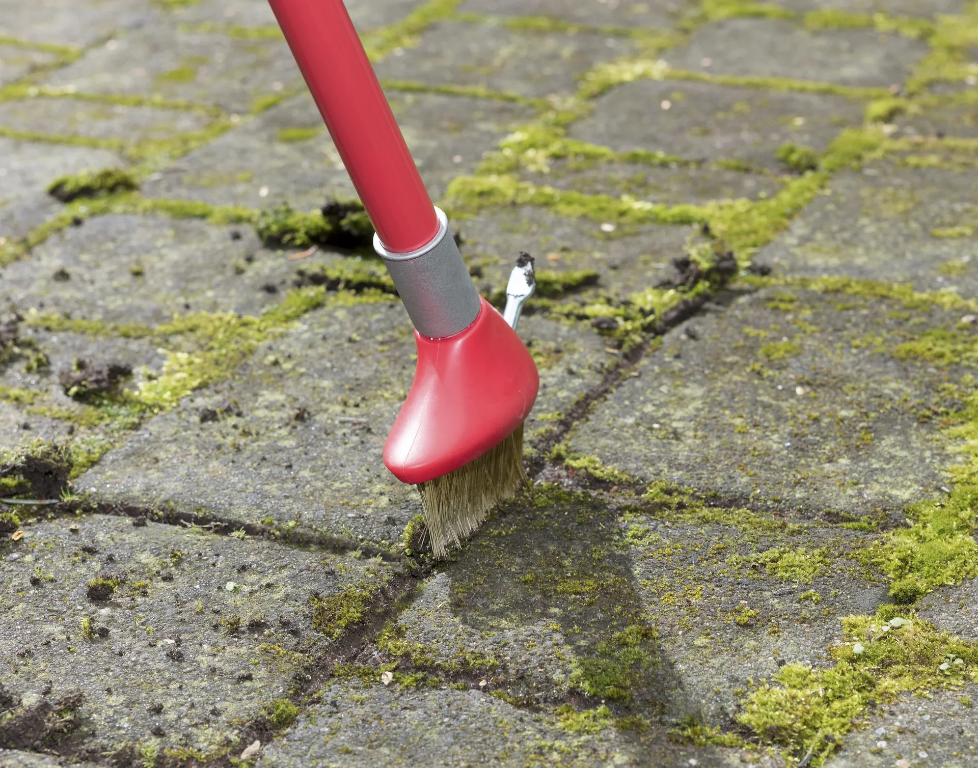 3 in 1 Garten-Unkraut-Bürsten Set - teleskopierbar - 2