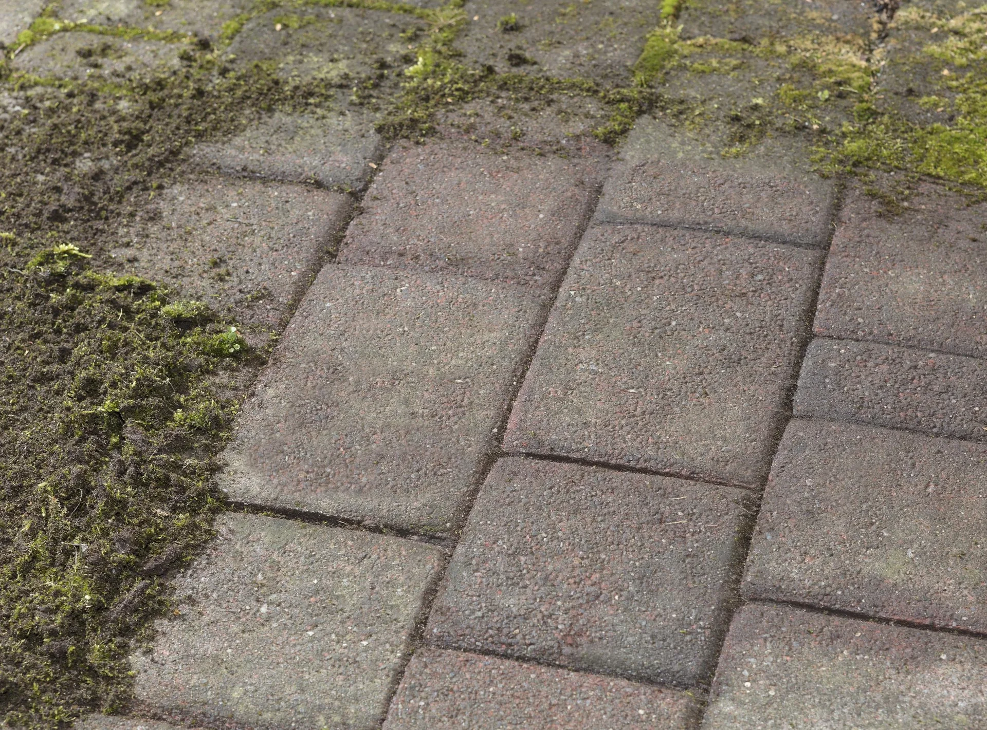 3 in 1 Garten-Unkraut-Bürsten Set - teleskopierbar - 4