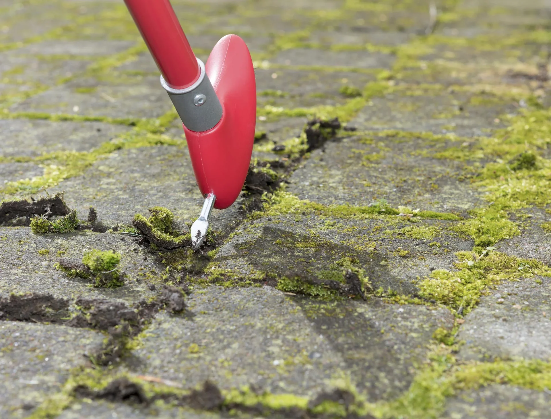 3 in 1 Garten-Unkraut-Bürsten Set - teleskopierbar - 5