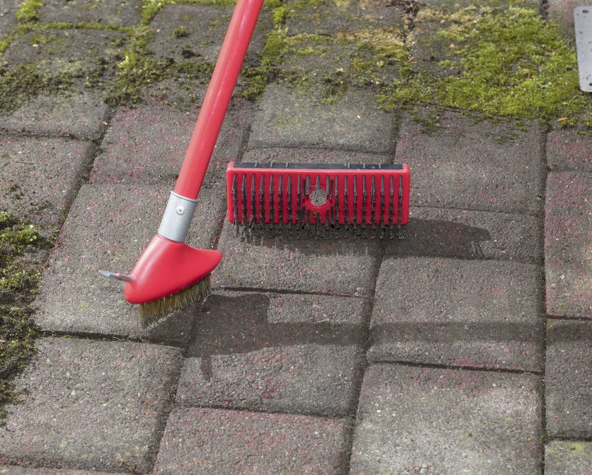 3 in 1 Garten-Unkraut-Bürsten Set - teleskopierbar - 6