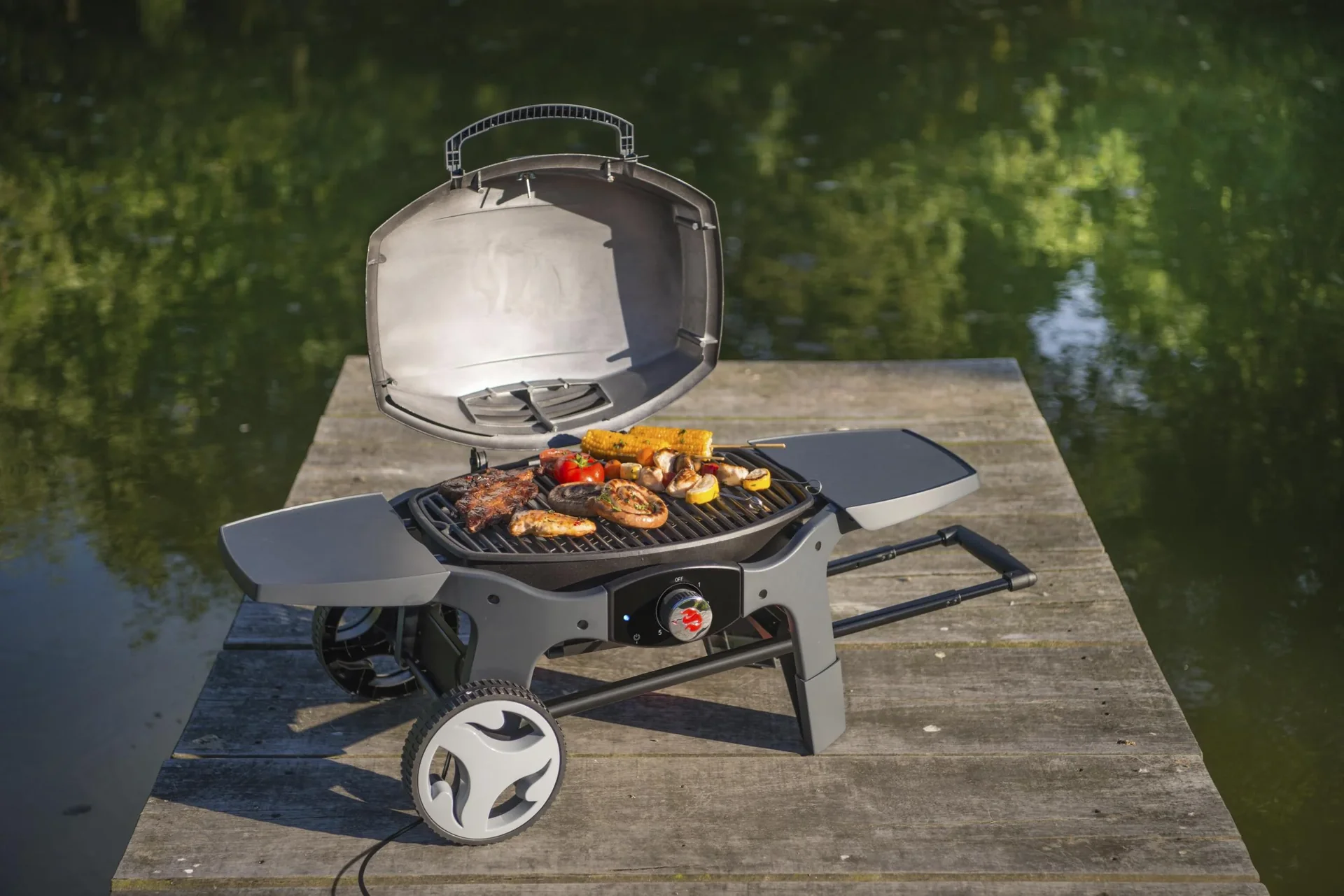 Elektrogrill "Pantera", 2000 Watt - 2