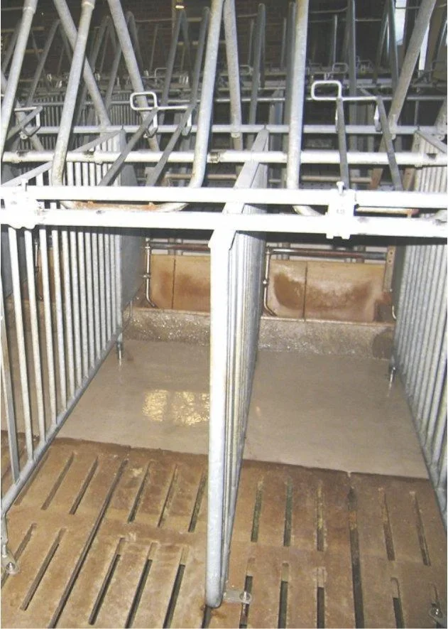 Zwei-Komponenten Epoxid-Saniermörtel - 1