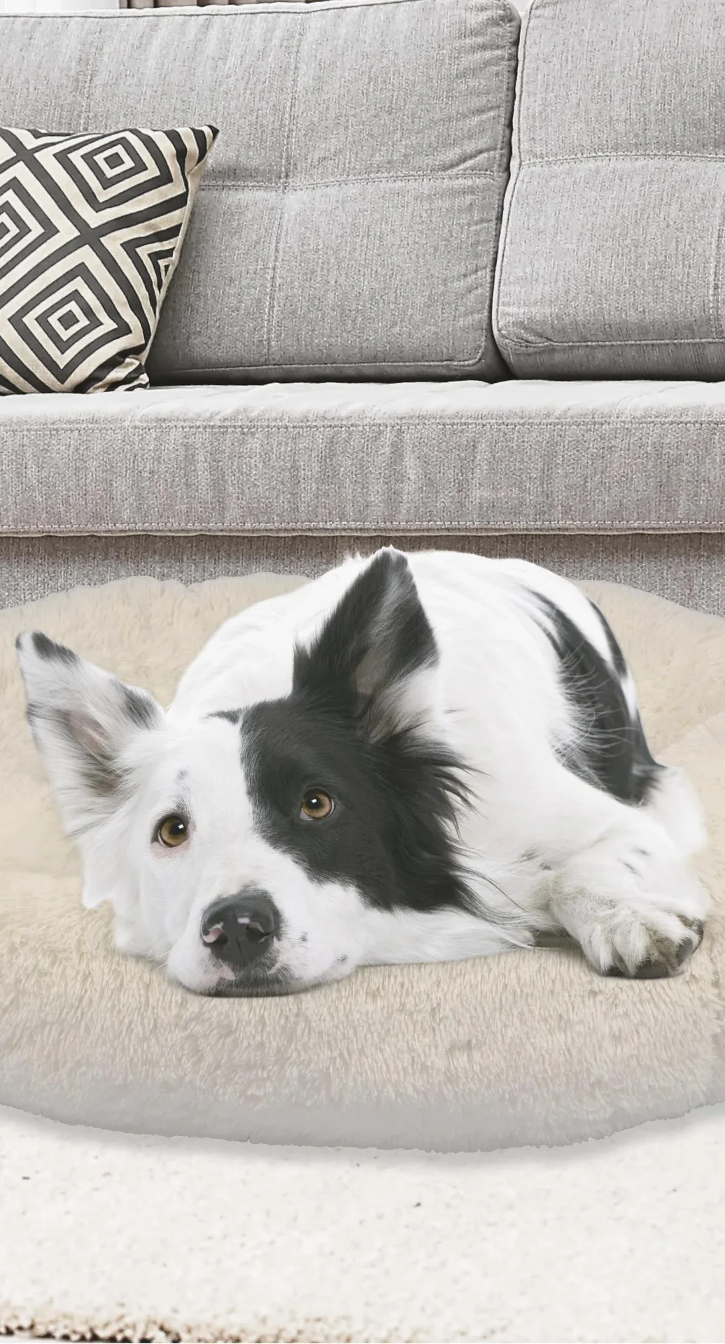 Hundebett Peaceful Pooch Größe S - 1