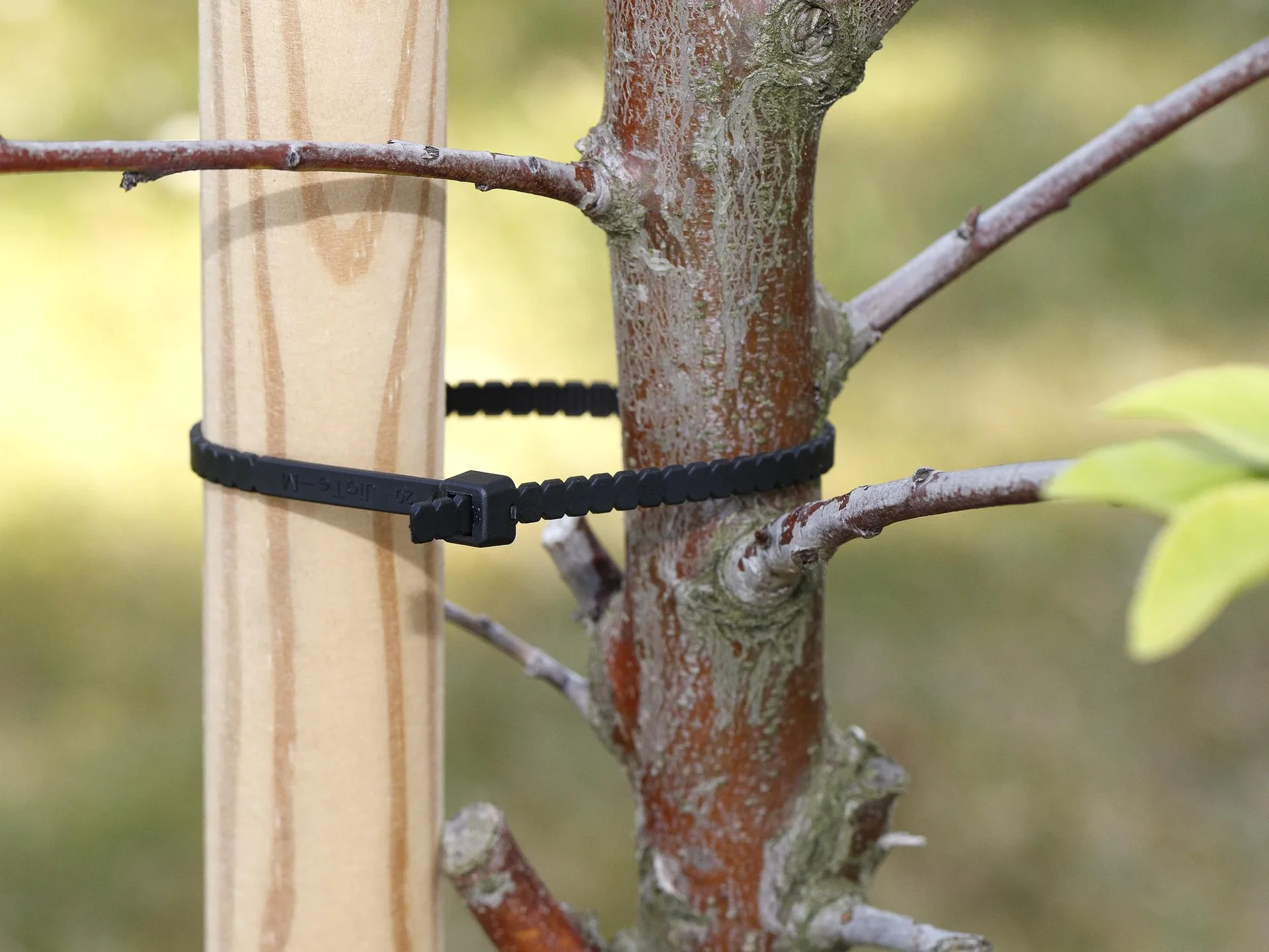 Kabelbinder zum Abdrehen "Twist Cable Ties", Schwarz 200 x 4,6 mm - 2