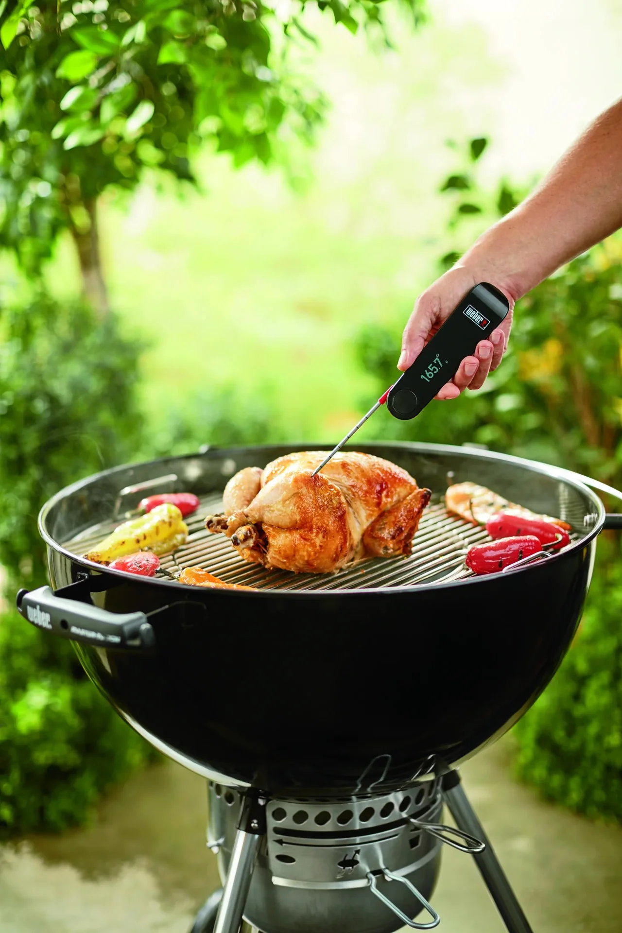 Snapcheck Digitalthermometer - 2