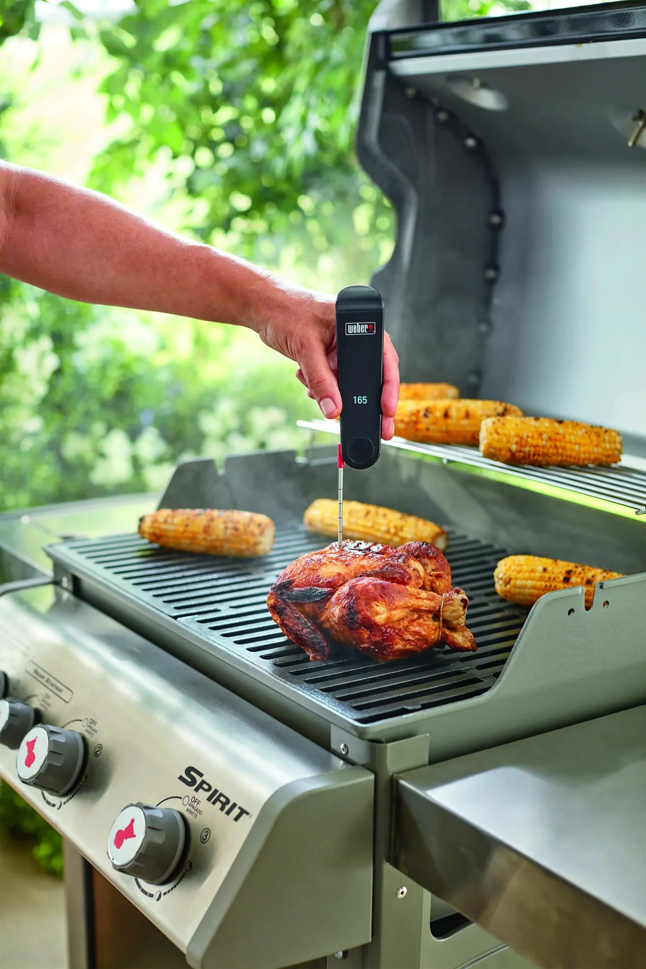 Snapcheck Digitalthermometer - 3