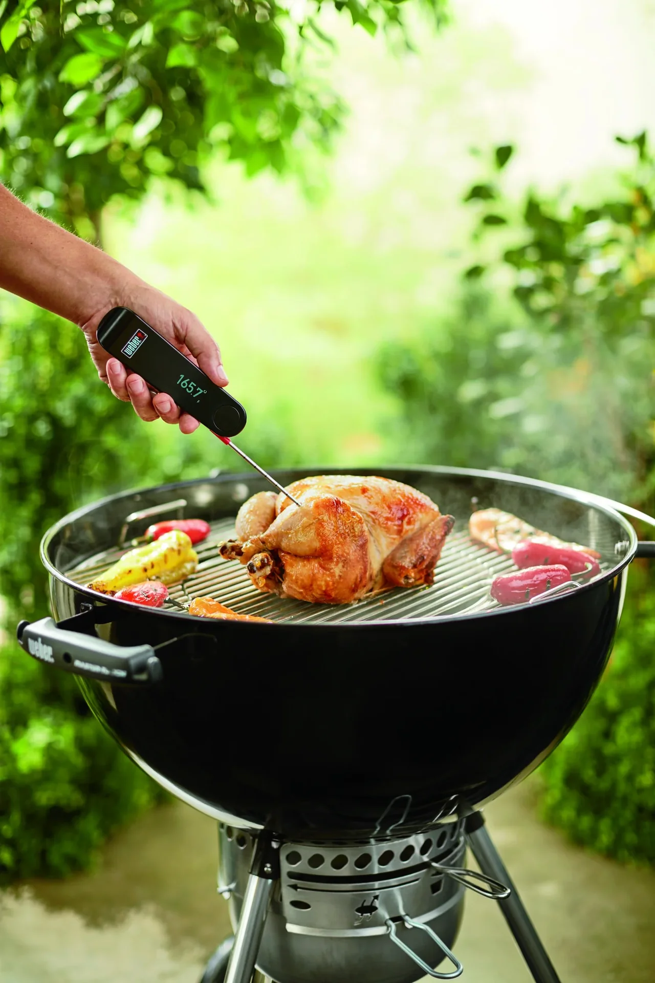 Snapcheck Digitalthermometer - 4