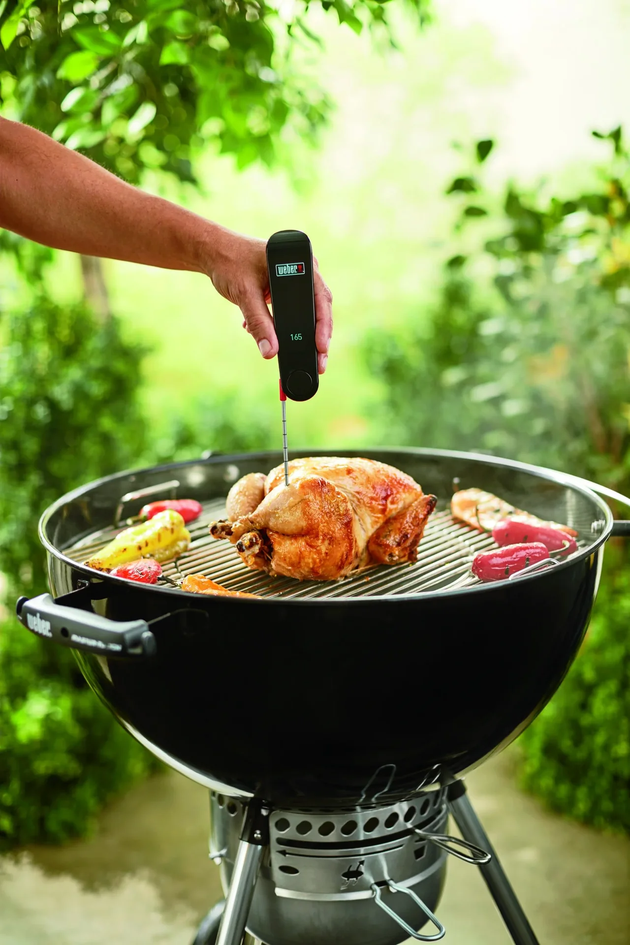 Snapcheck Digitalthermometer - 9