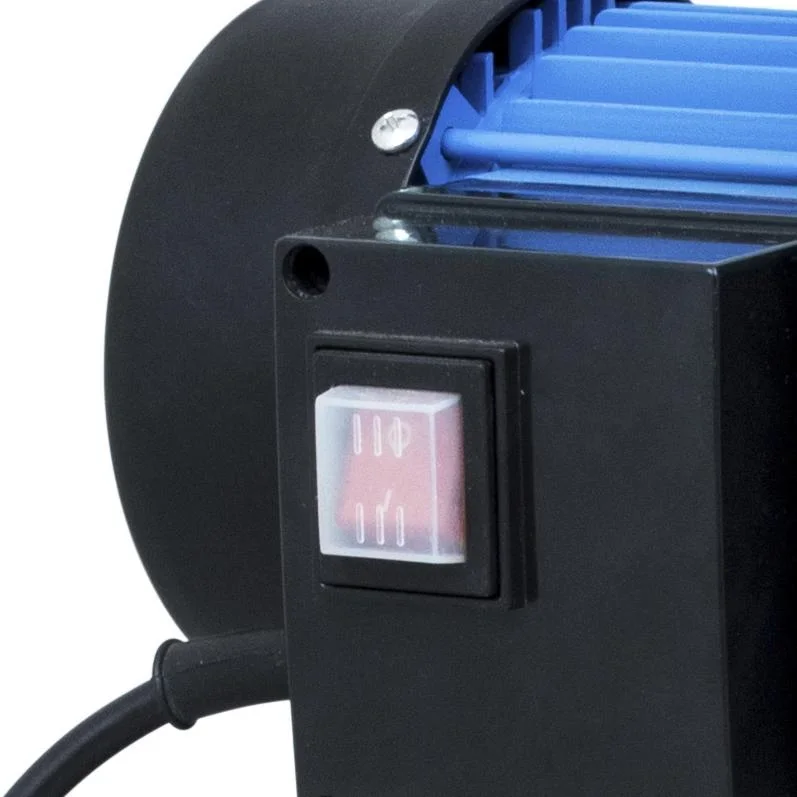 Hauswasserwerk HWW 1000 E - mit Thermoschutz - 1