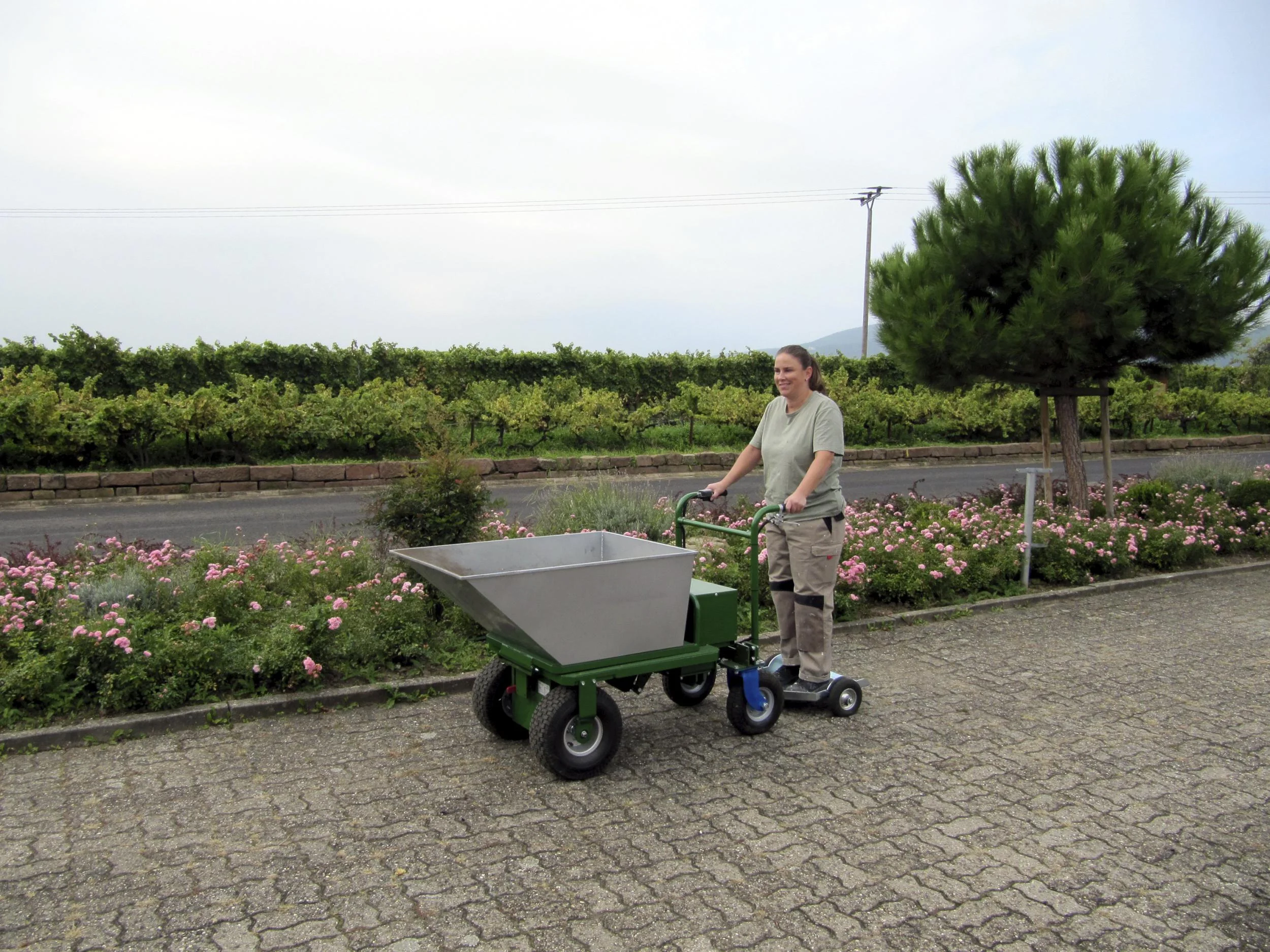 Elektroschubkarre Donkey XL-H mit Blei Akku - 6