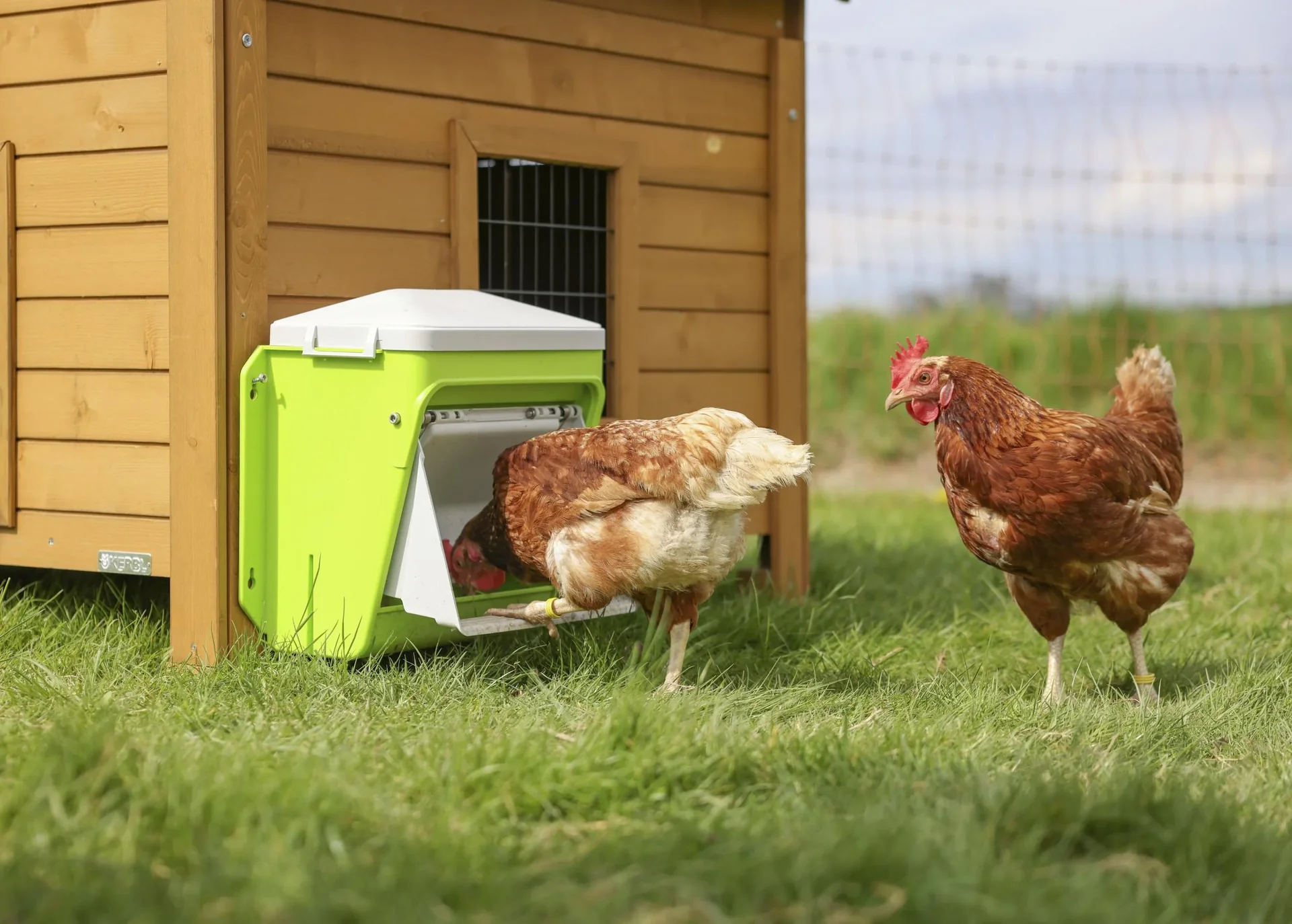 SmartCoop Futterautomat mit  Schutzklappe, 7,5 kg - 0