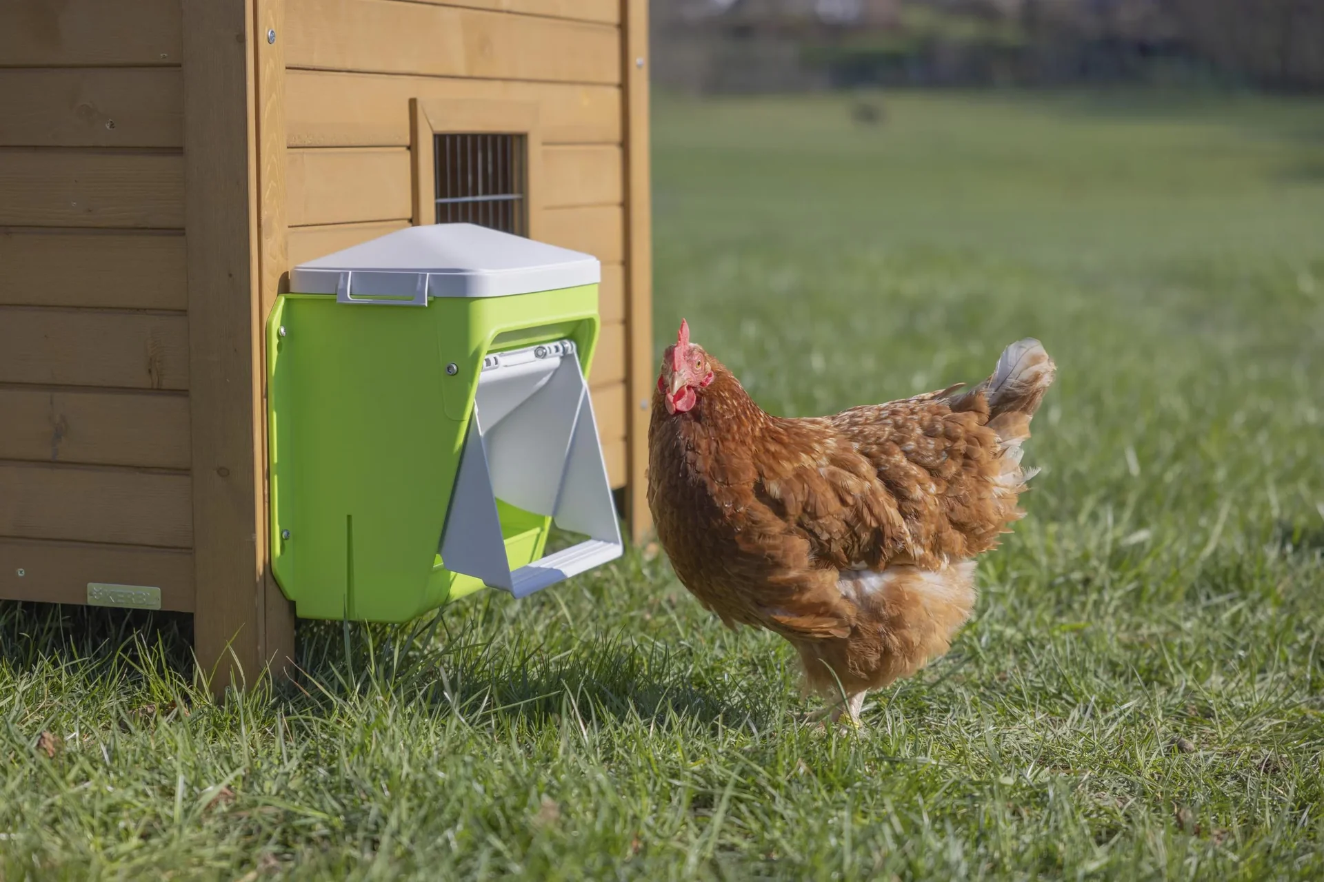 SmartCoop Futterautomat mit  Schutzklappe, 7,5 kg - 3