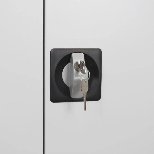 Flügeltürschrank RAL 7035, 195x92x50cm - 2