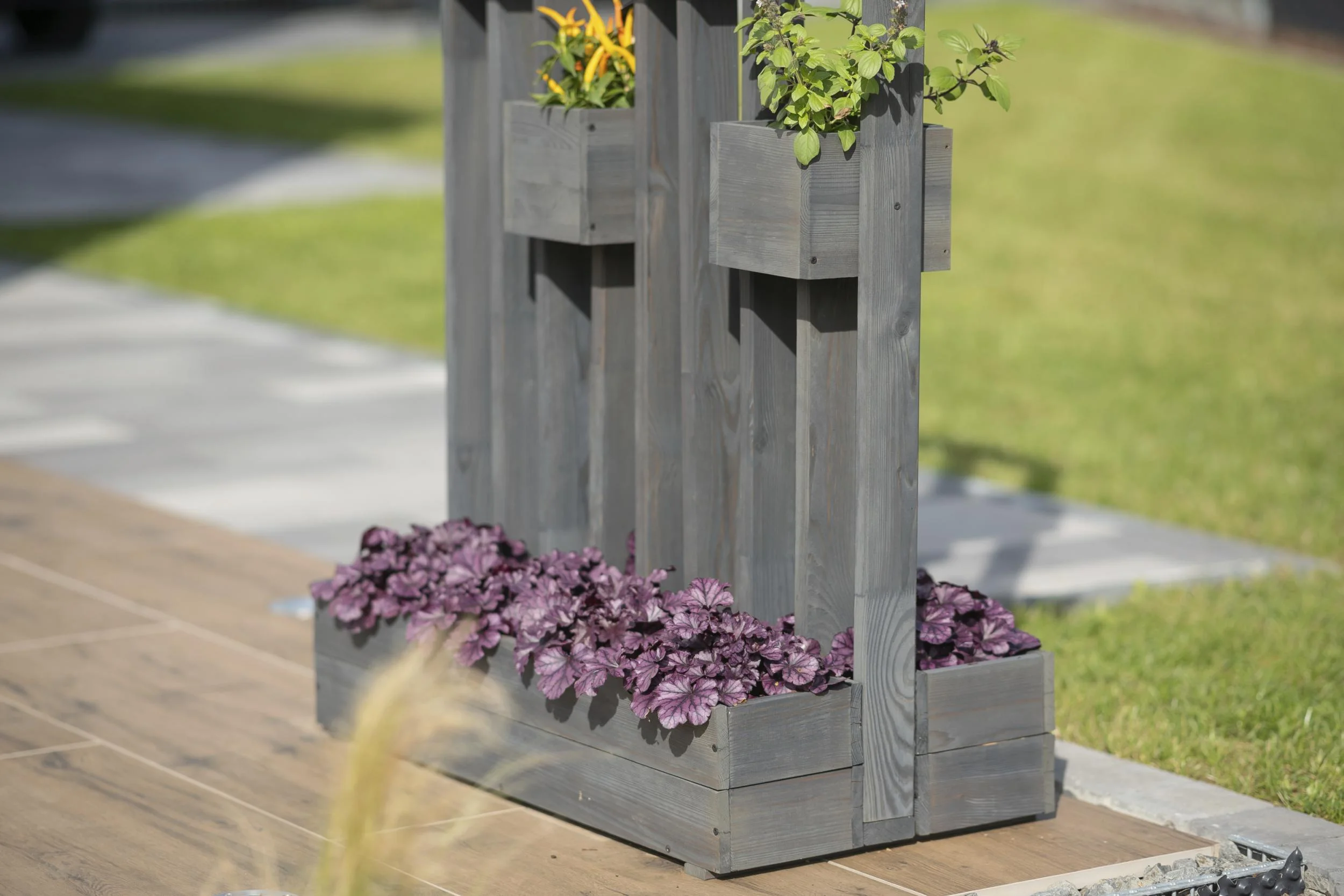 Pflanzenwand Ulla - 2